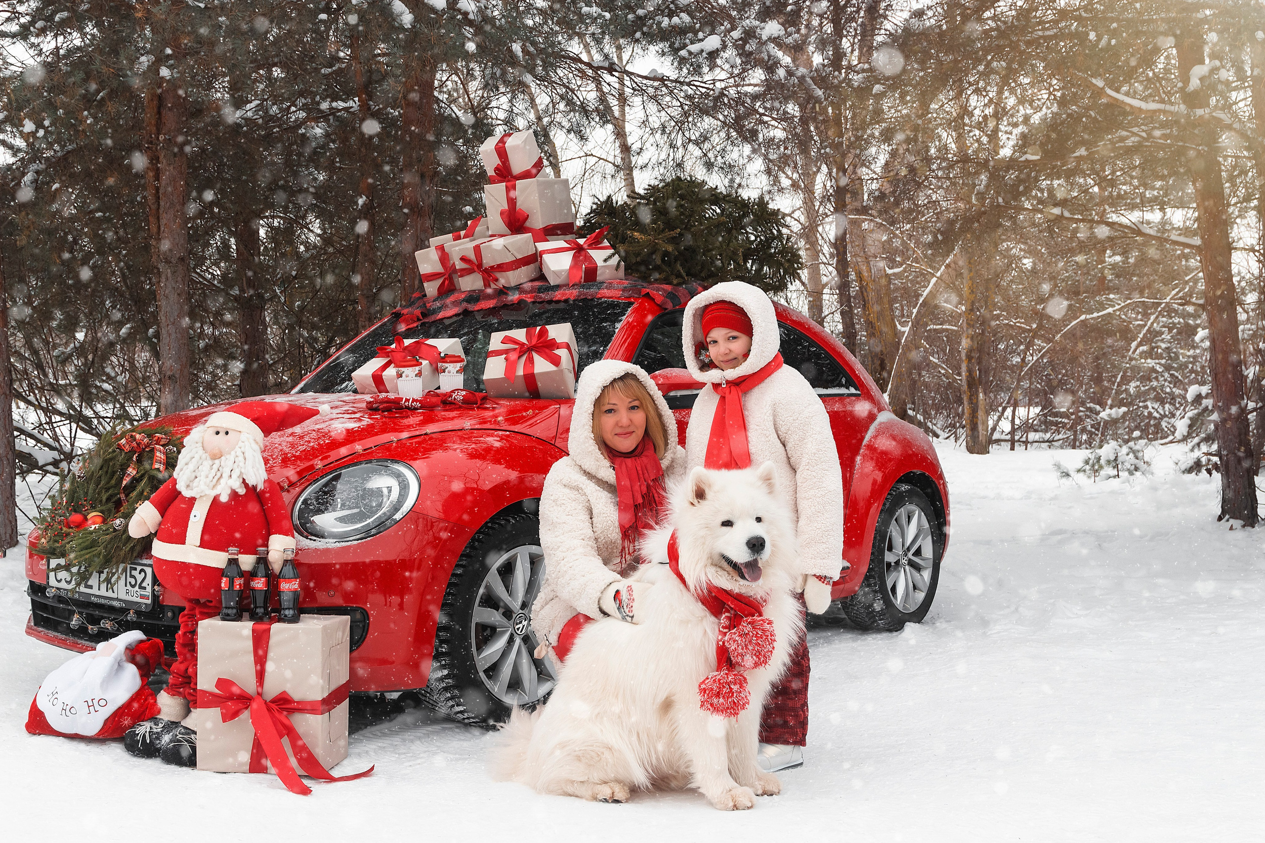 Новогодний красный жук