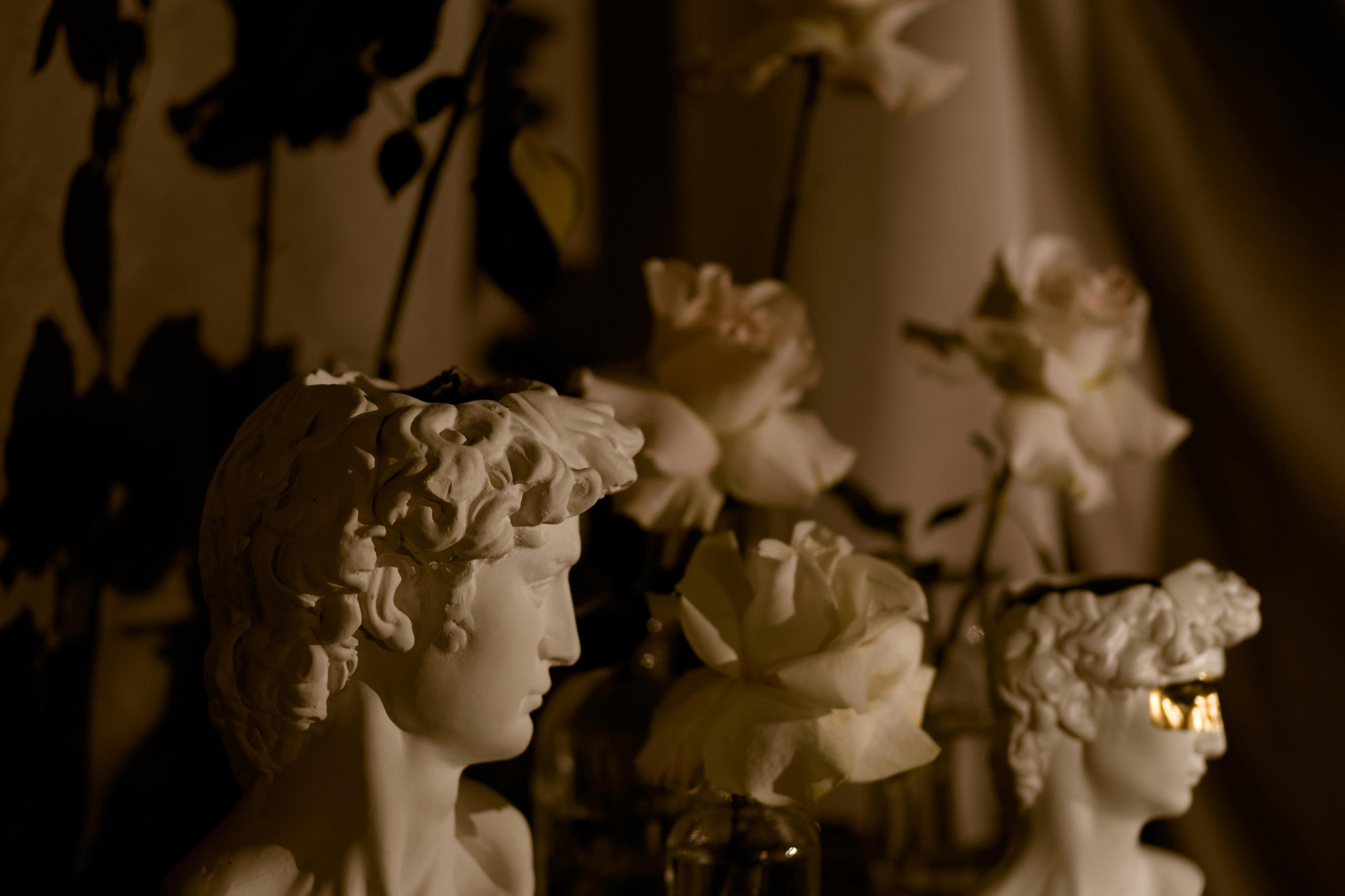 День рождения More Amore — 2024