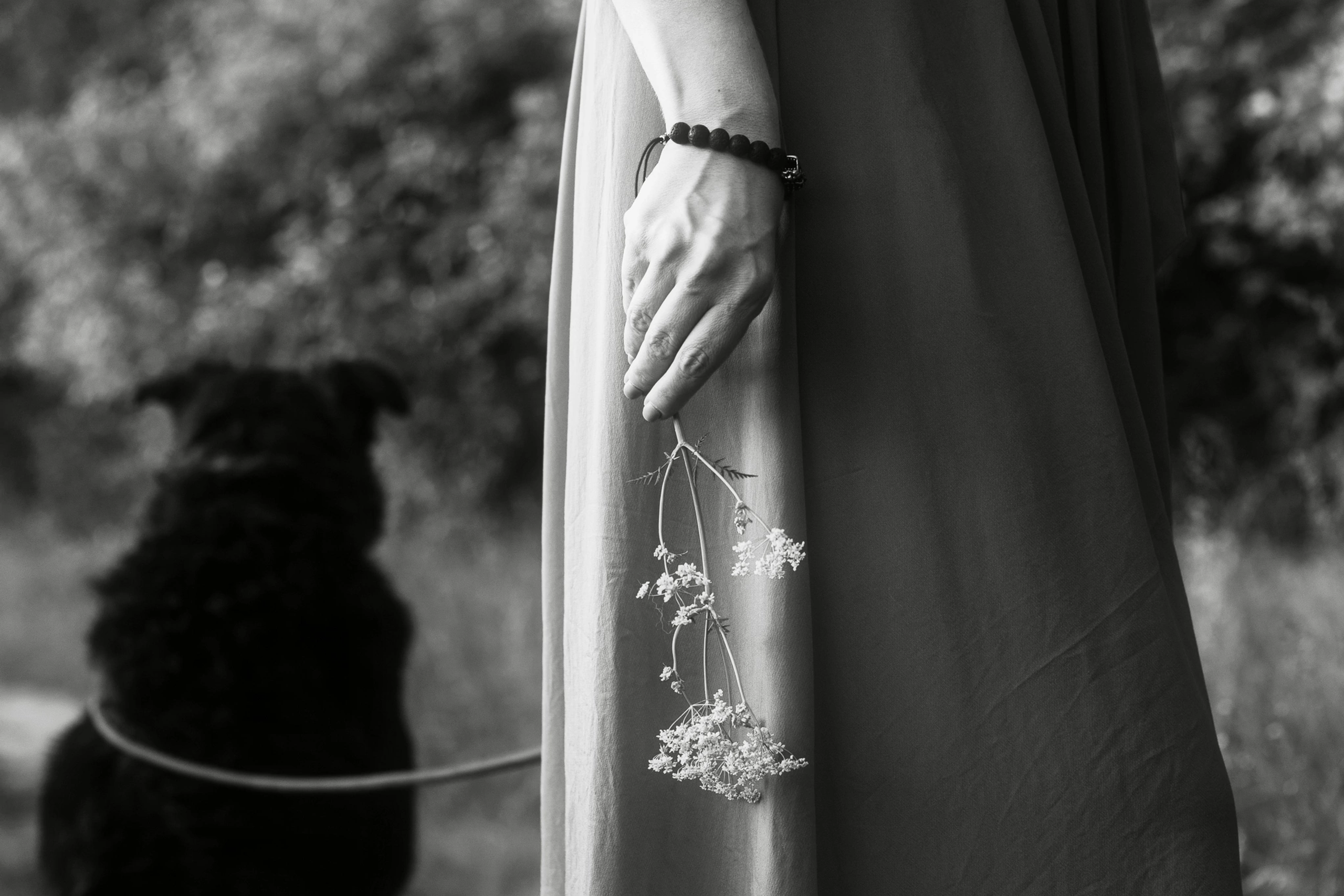 Прогулка с собакой