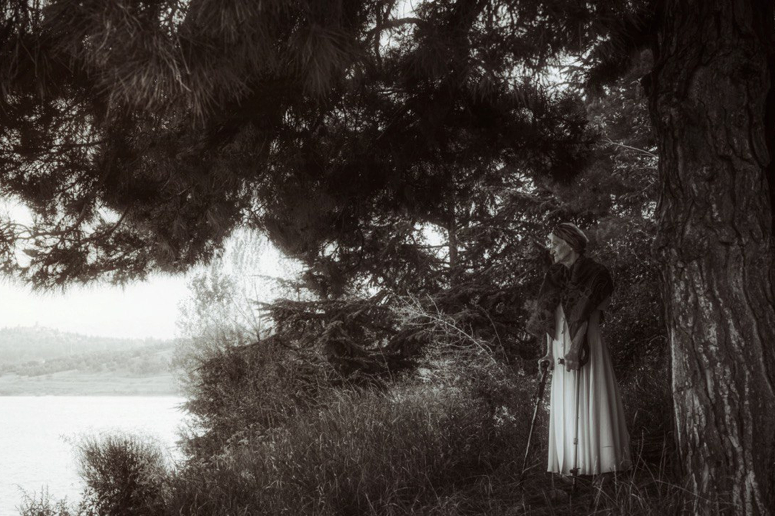 Проект «Кокон» — участник выставки LUX PICTURA в галерее Art Maison