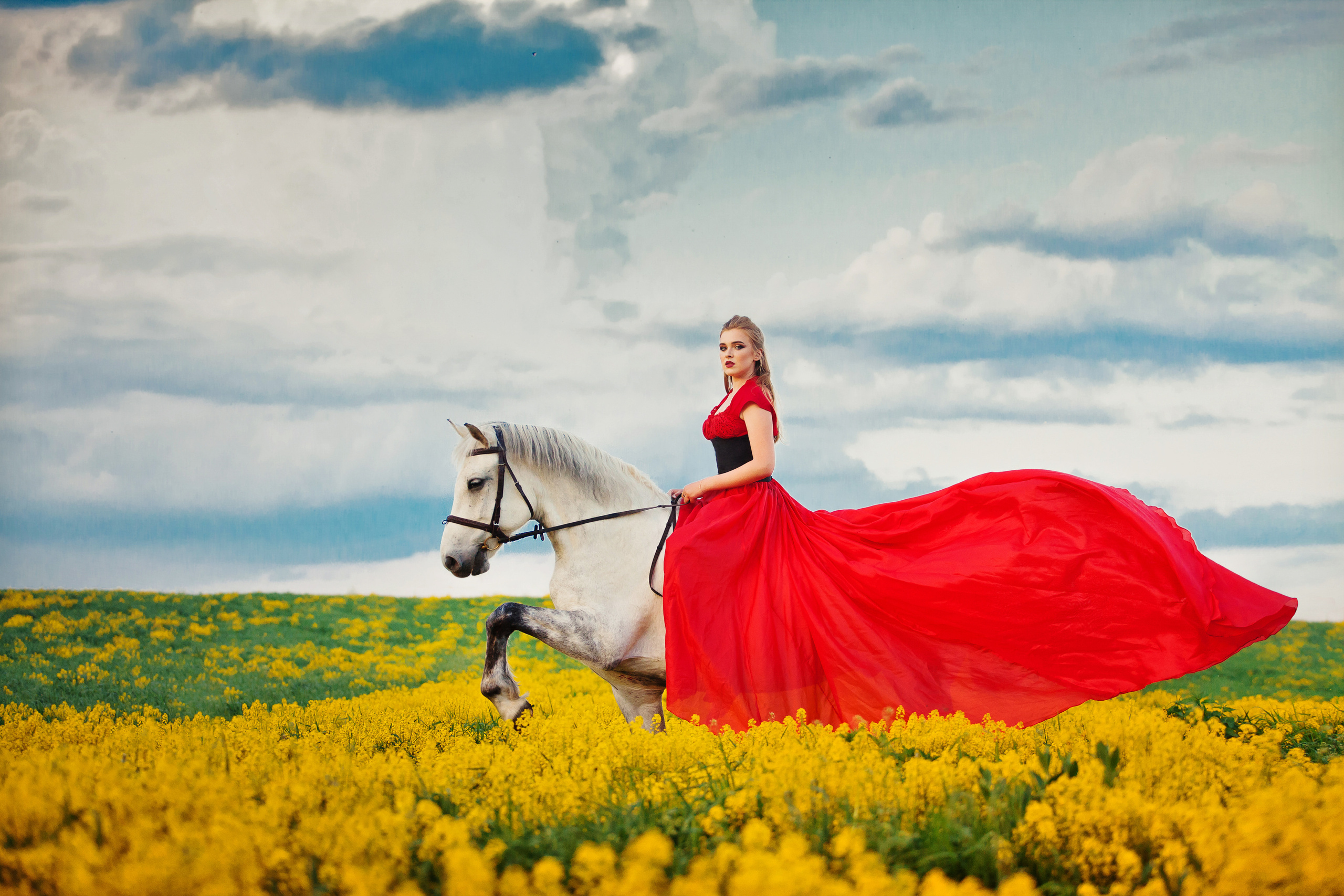 Фотосессии с лошадьми