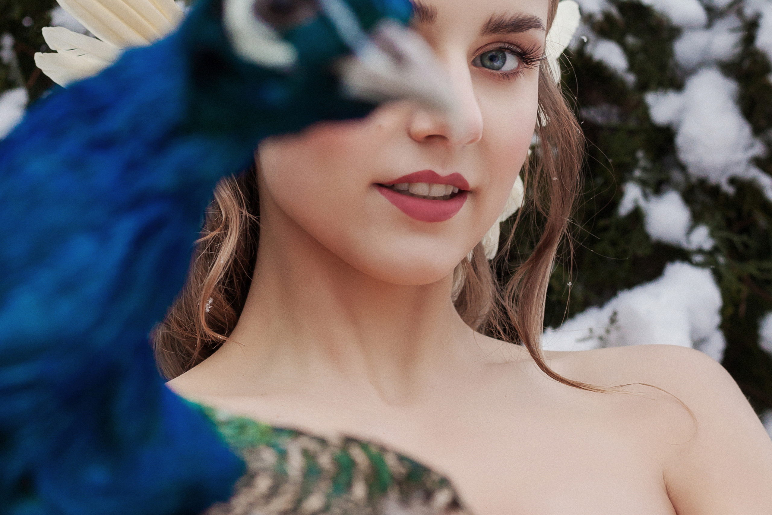 Публикации в журналах