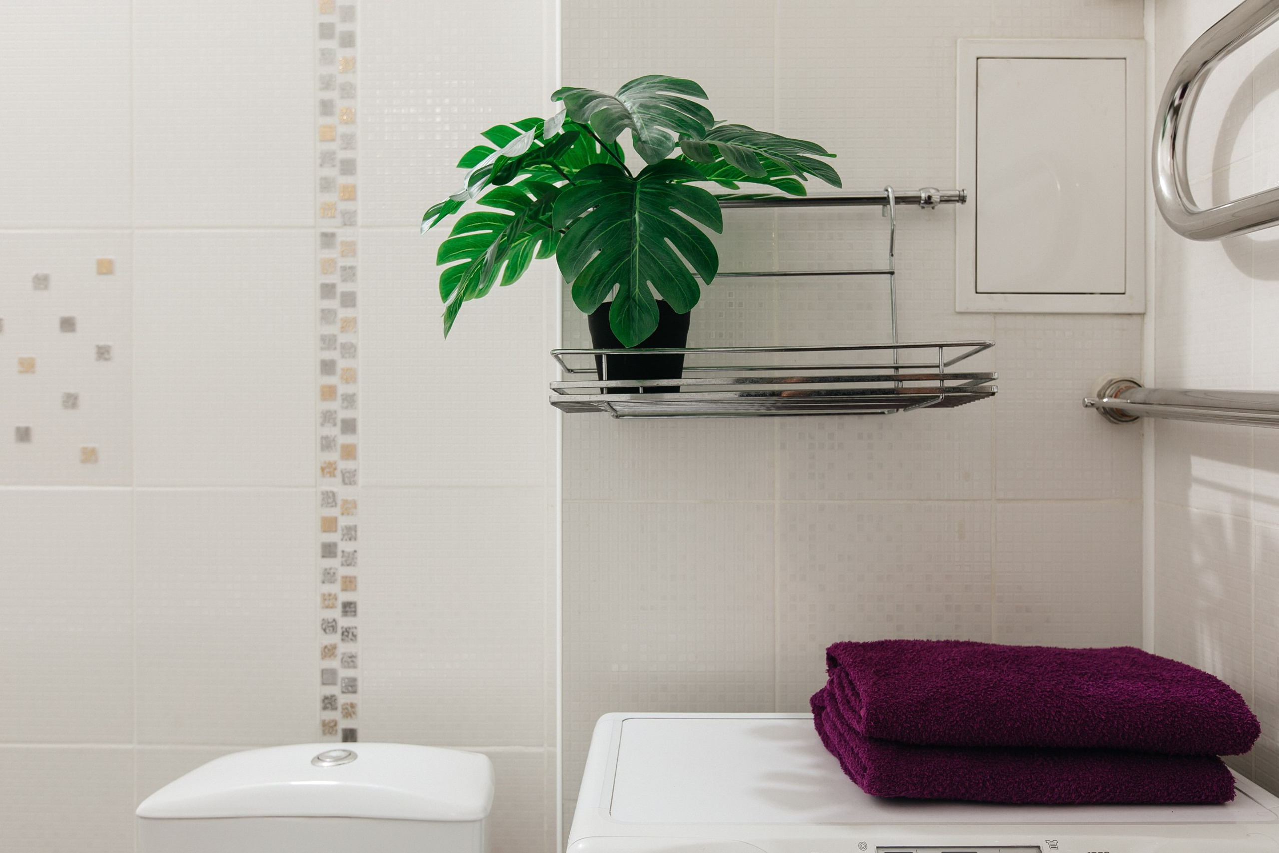 Кошурникова, 29/5