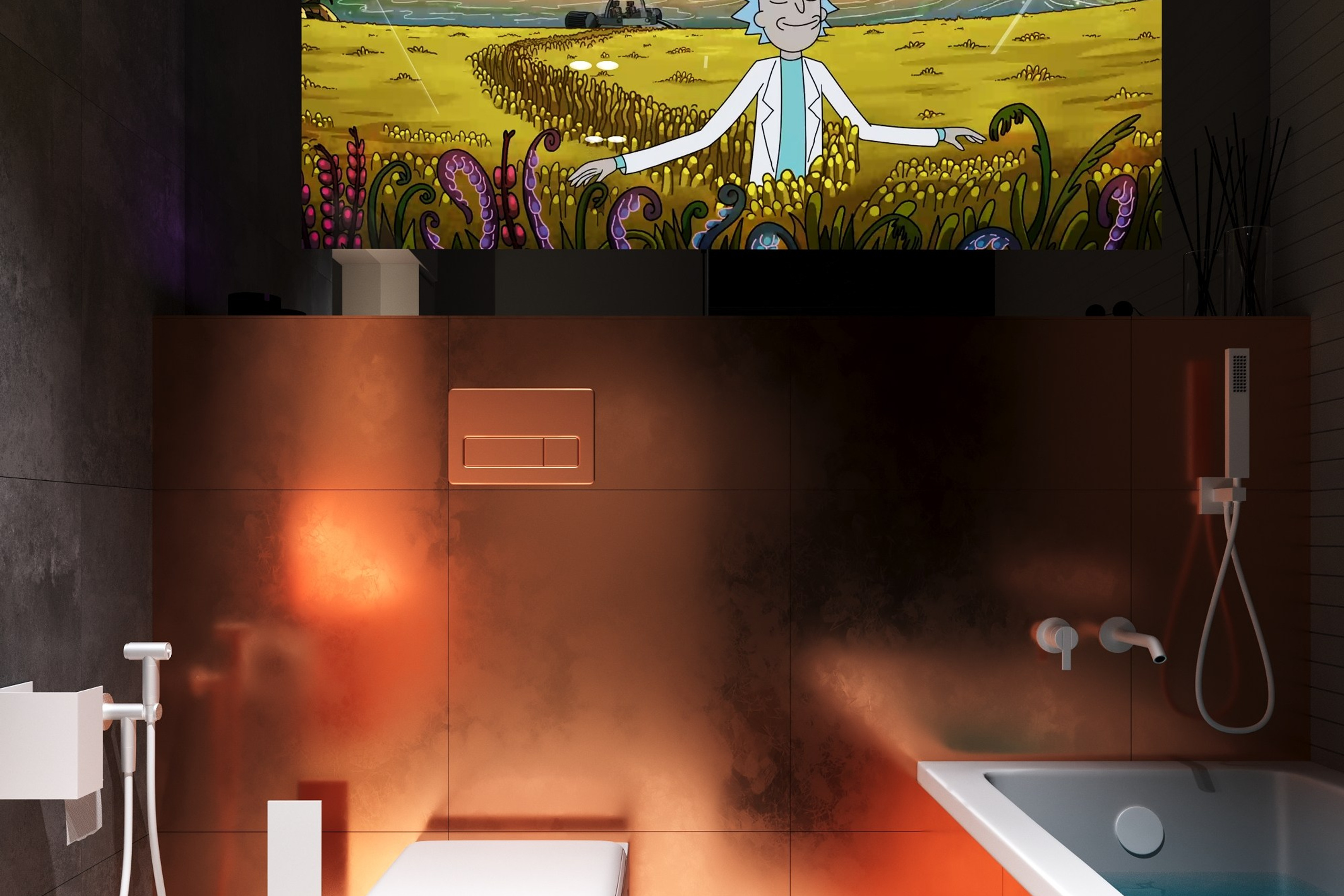 Санузел со встроенным TV экраном, Концептуальный проект