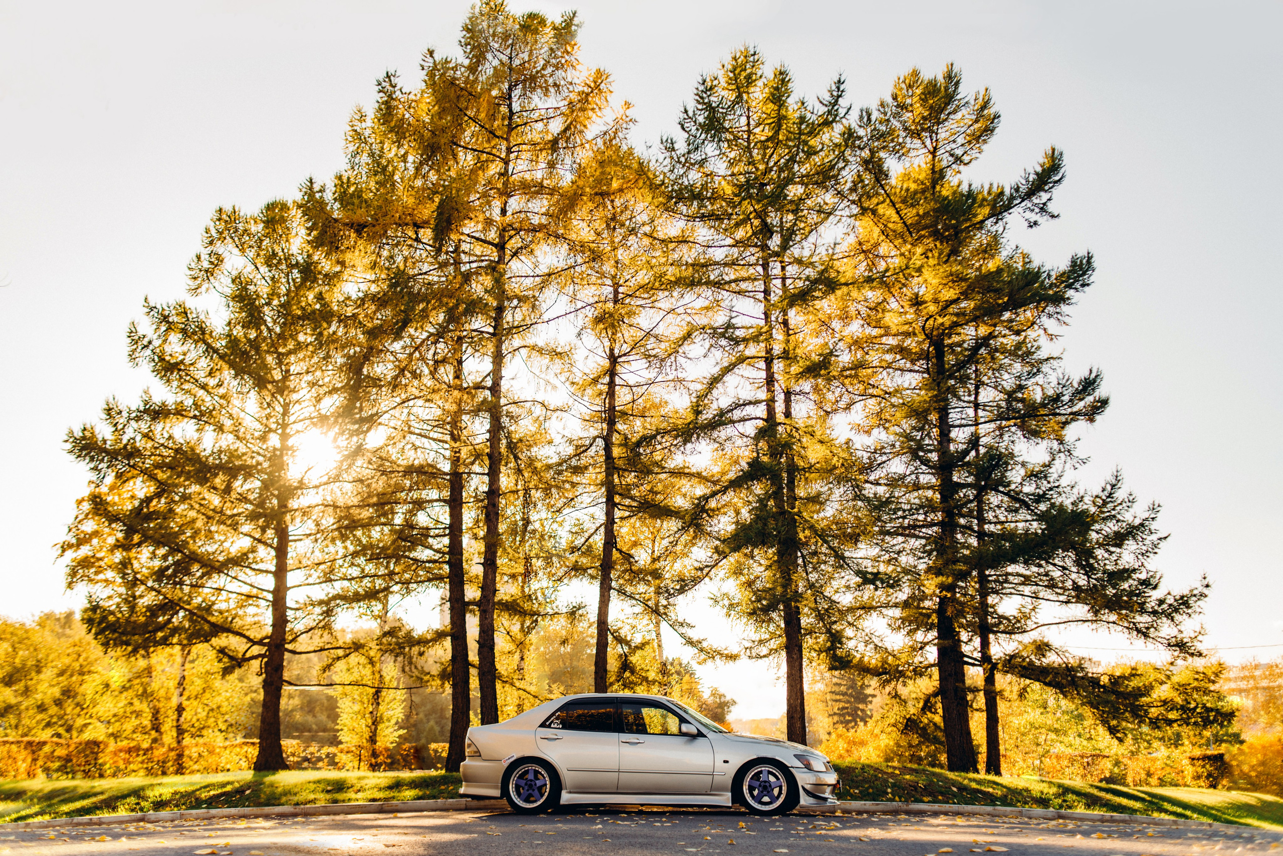 Toyota Altezza dmitry_dry