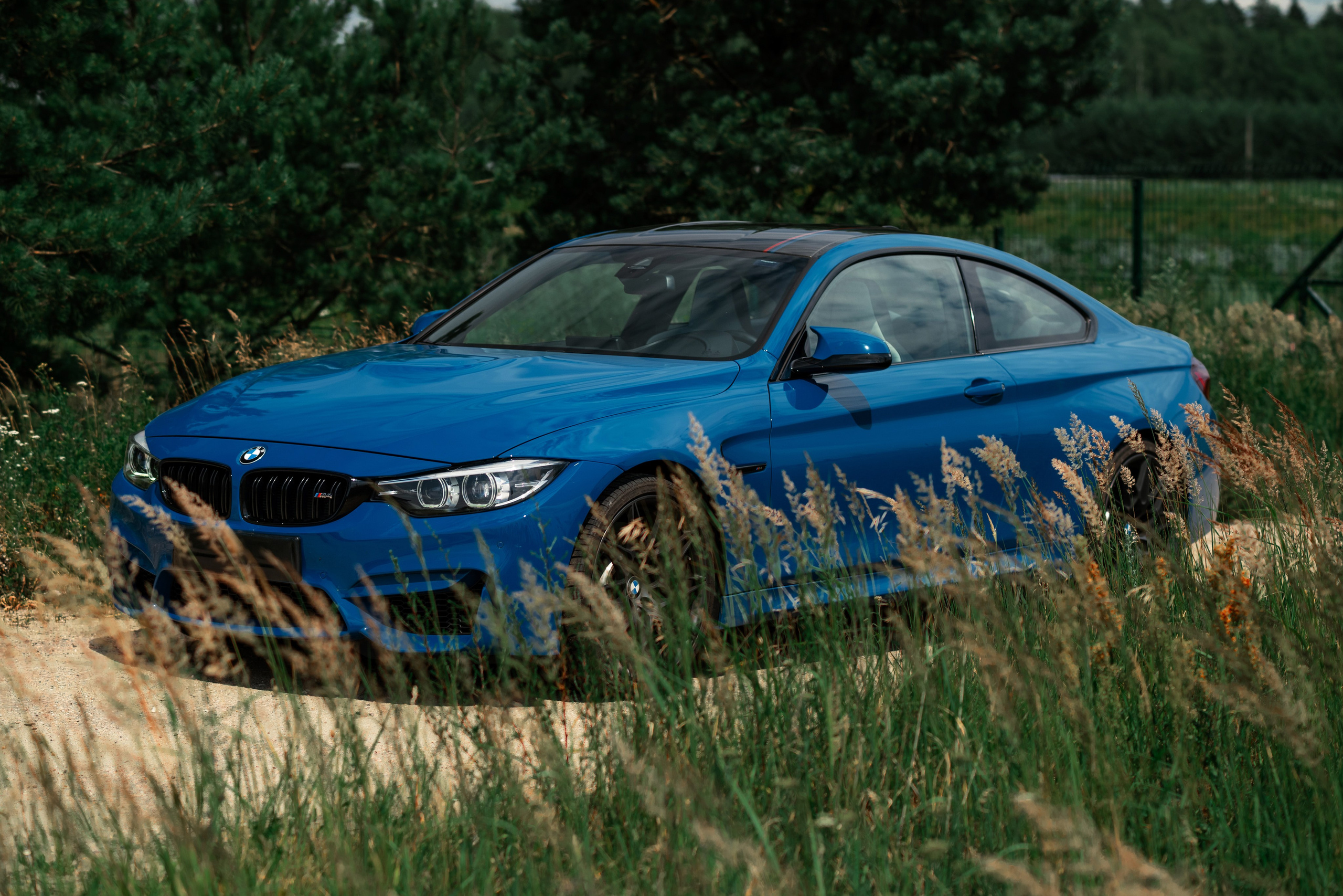 Bmw M4 Heritage Edition 1/750