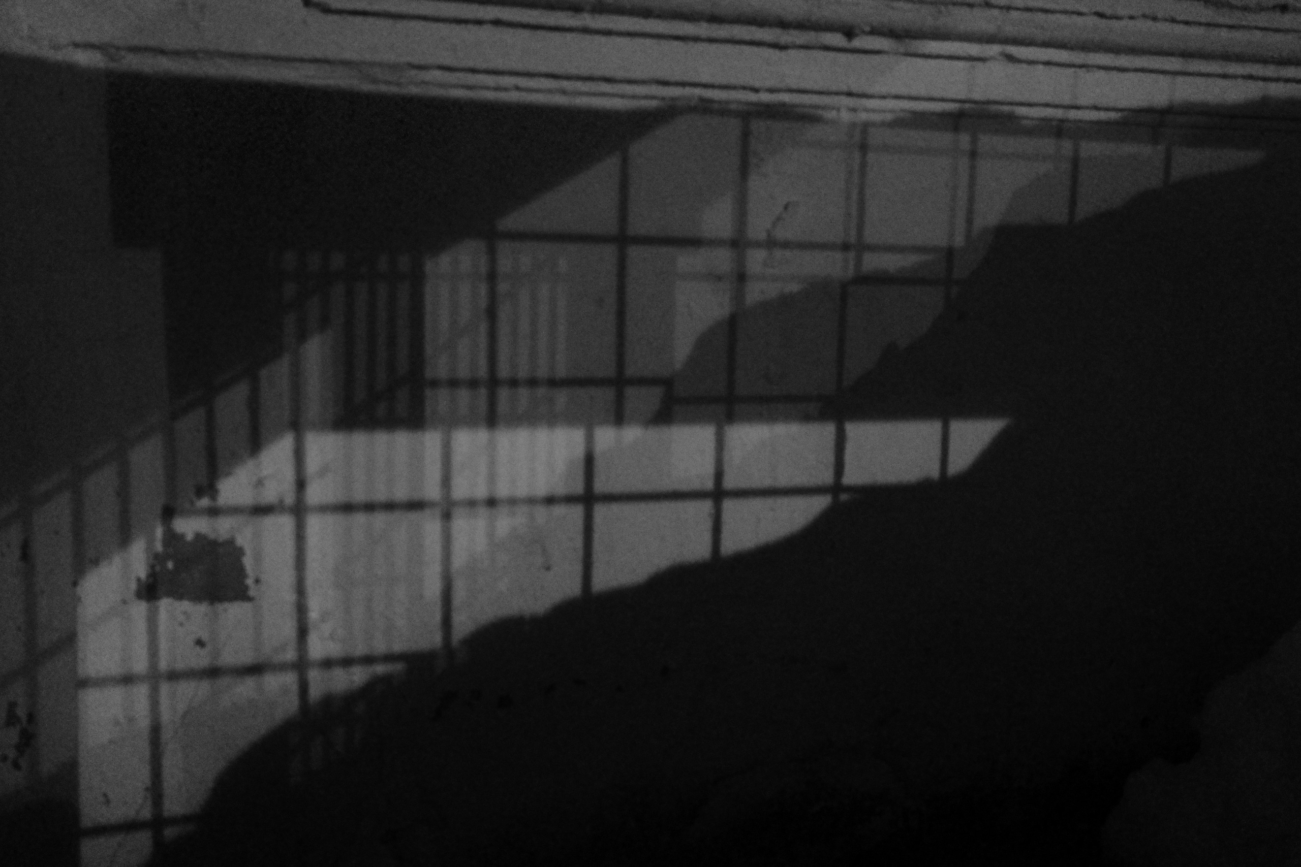 Весенняя Москва 😎. Миша Печёнкин | фотография