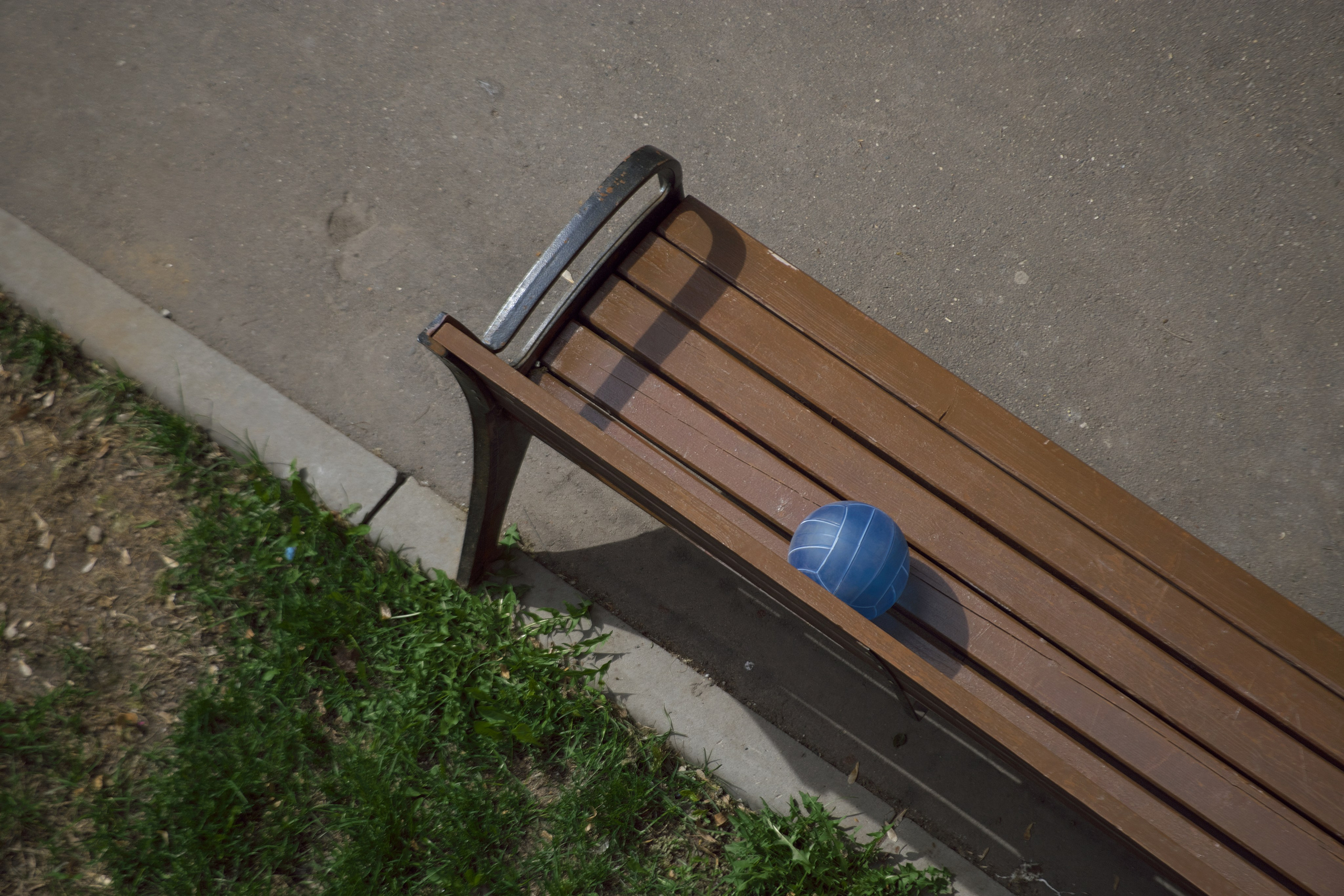 Реставрация газонов 🌵. Миша Печёнкин | фотография