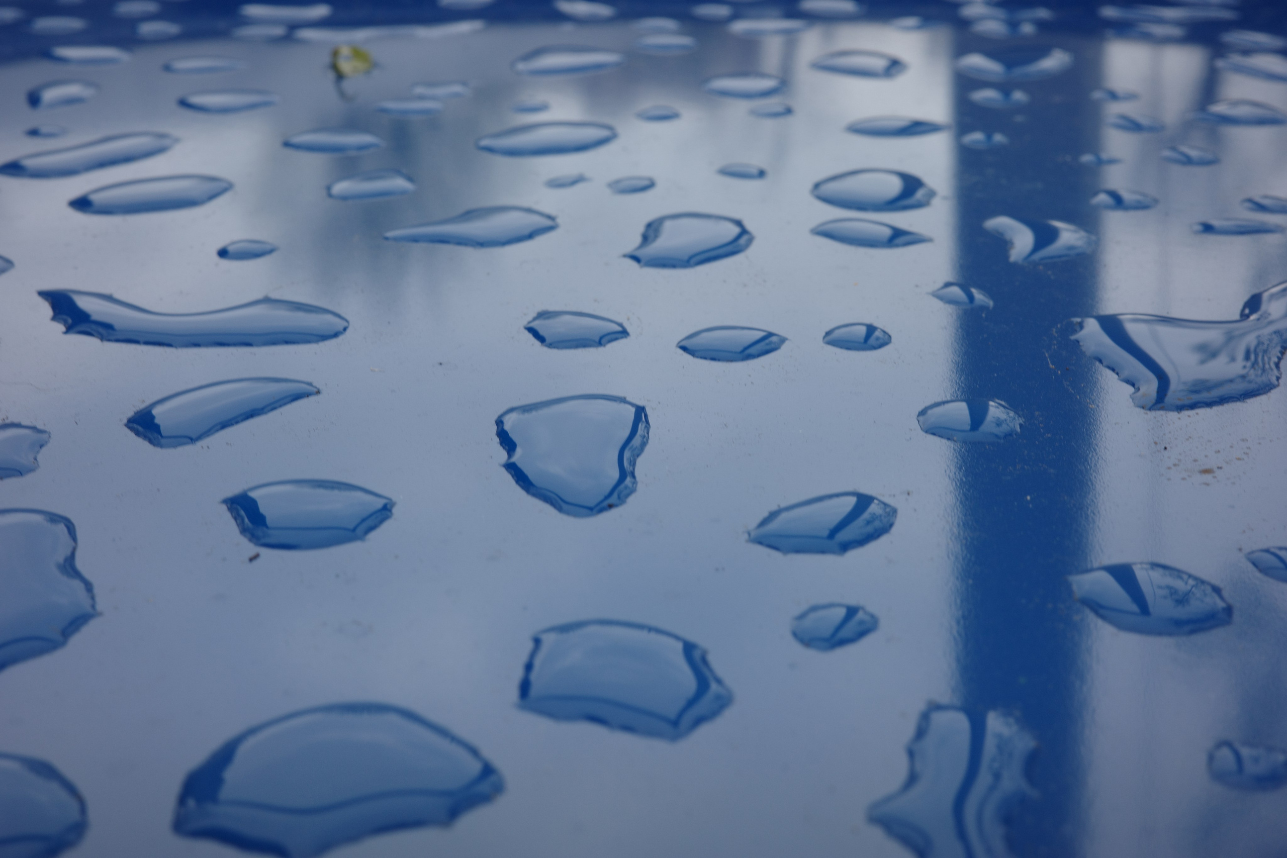 Во дворе 🚲. Миша Печёнкин | фотография