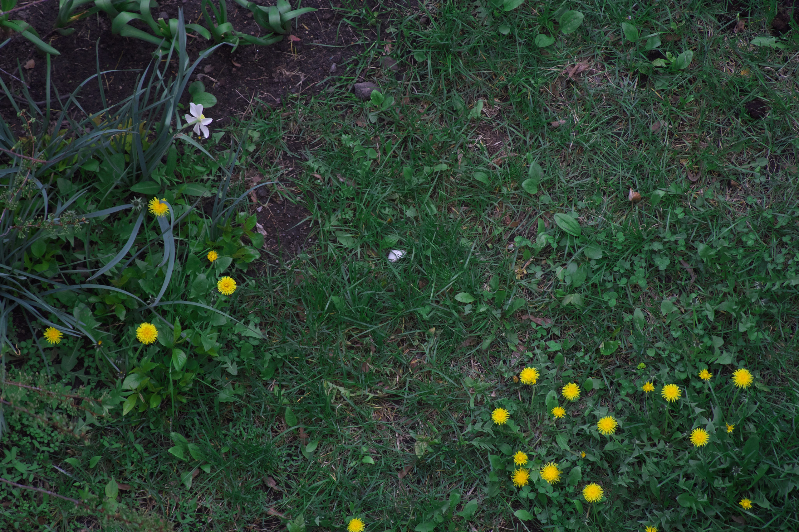 День выдался прохладным и пасмурным ☁️. Миша Печёнкин | фотография