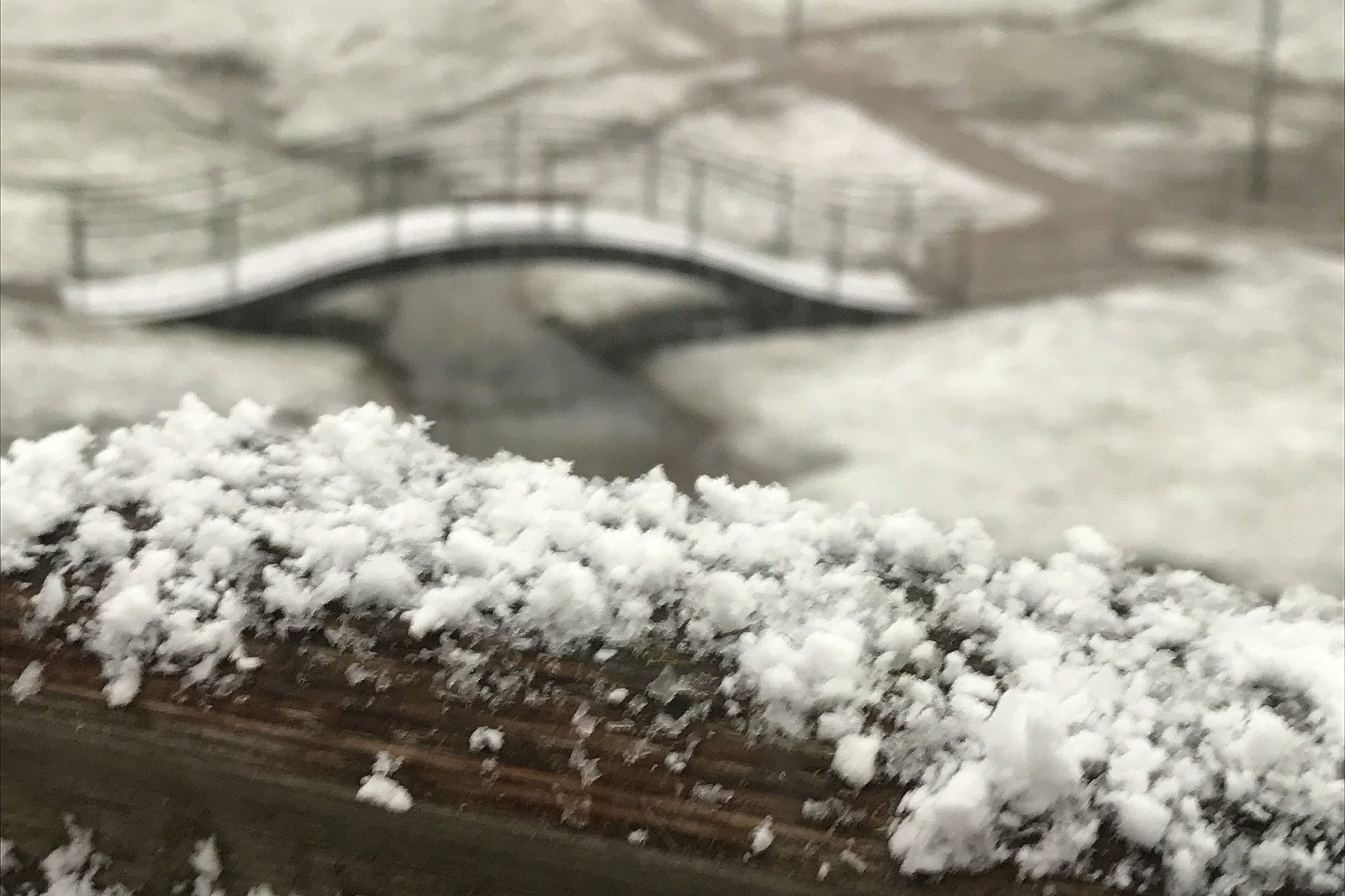 Мысли Вслух. Аmat Victoria Сuram