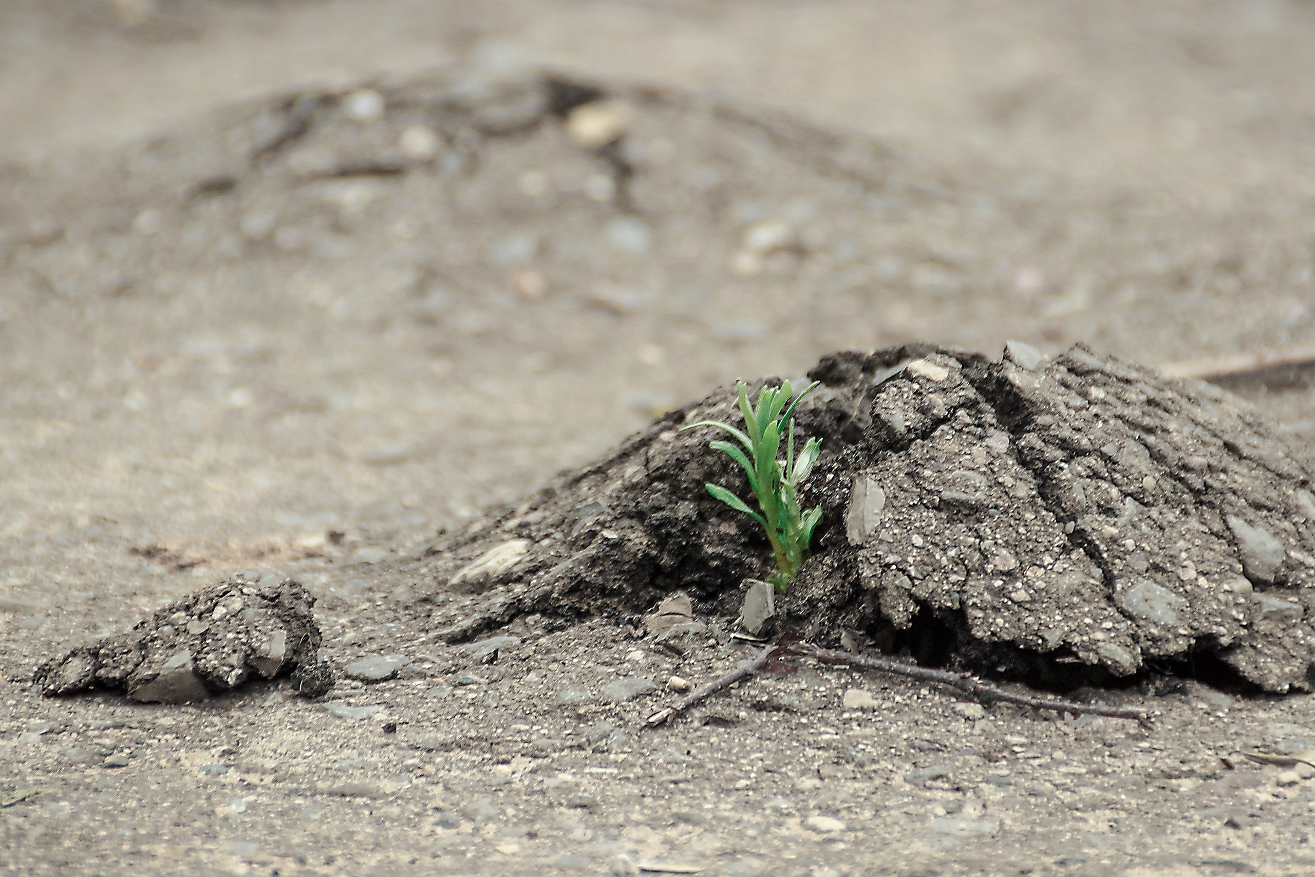 Свобода — Быть Собой