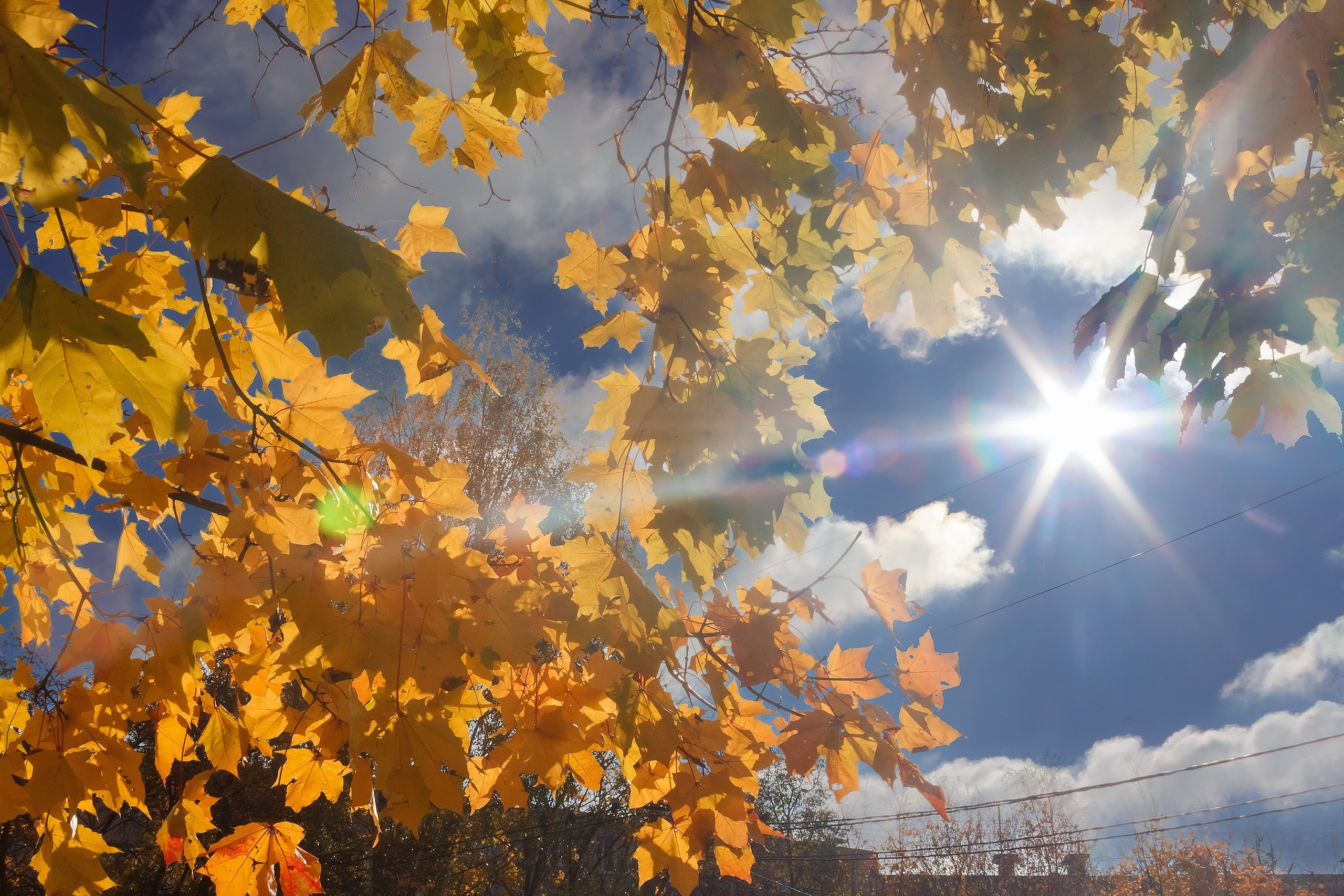 Свет и Цвет