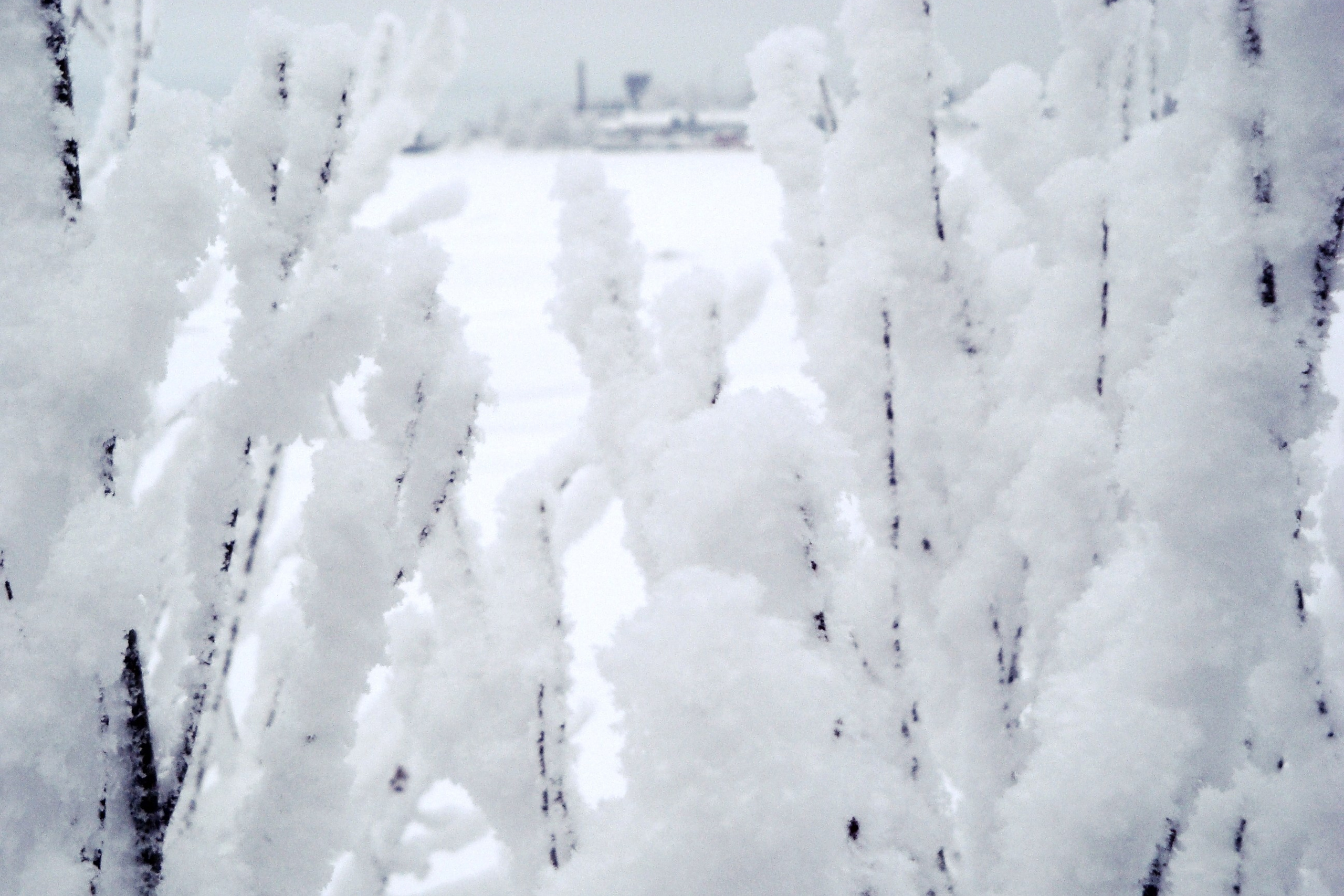 Пока ты спал. ARHCITYPH — фотограф Архангельск | Репортаж, городские события, культурные проекты