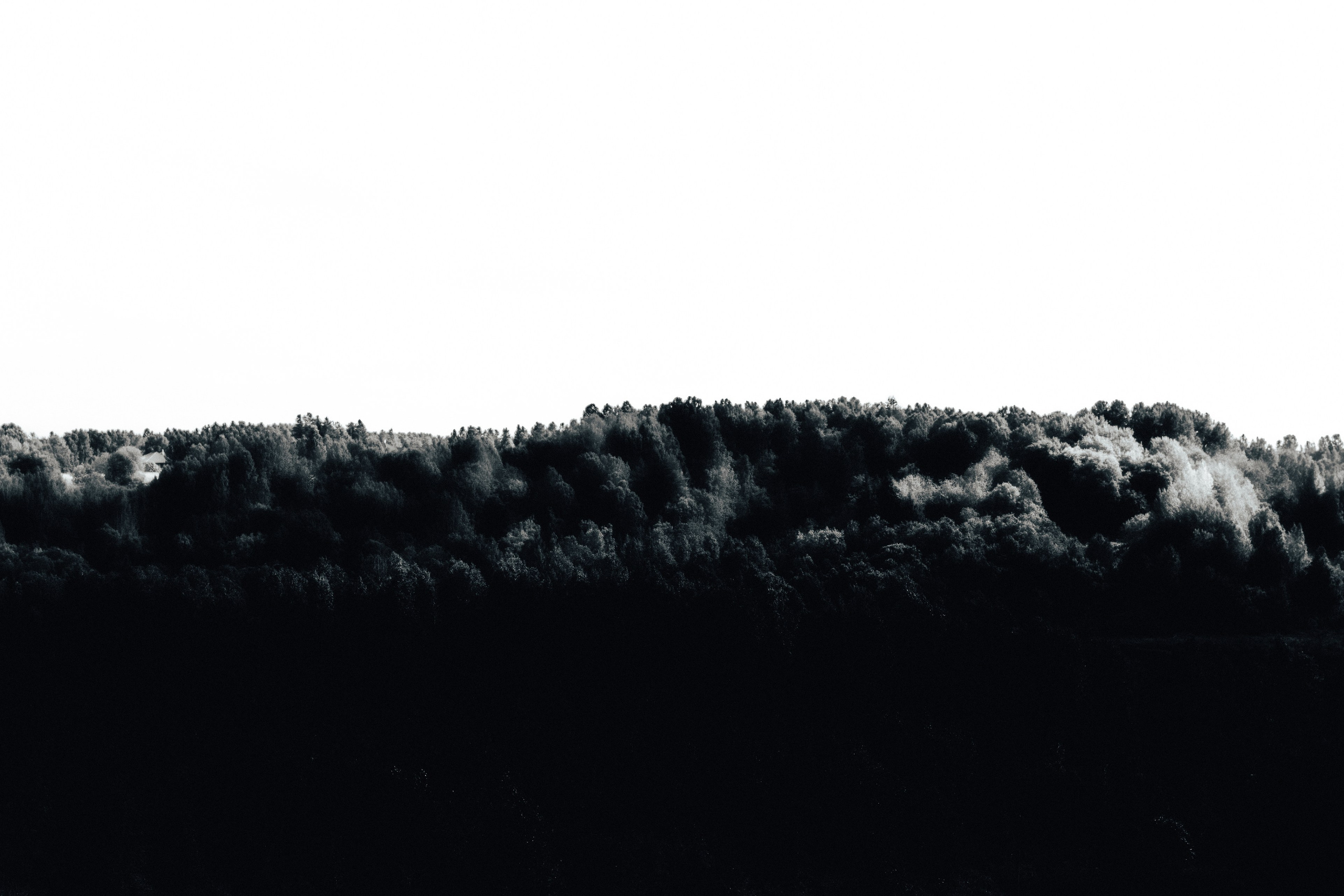 Graphic Noir. ARHCITYPH — фотограф Архангельск | Репортаж, городские события, культурные фотопроекты