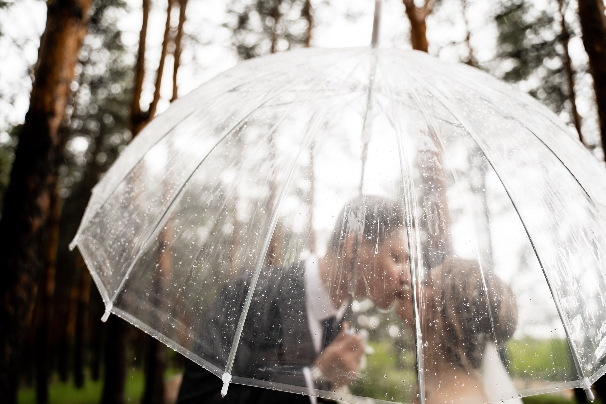 Екатерина и Сергей