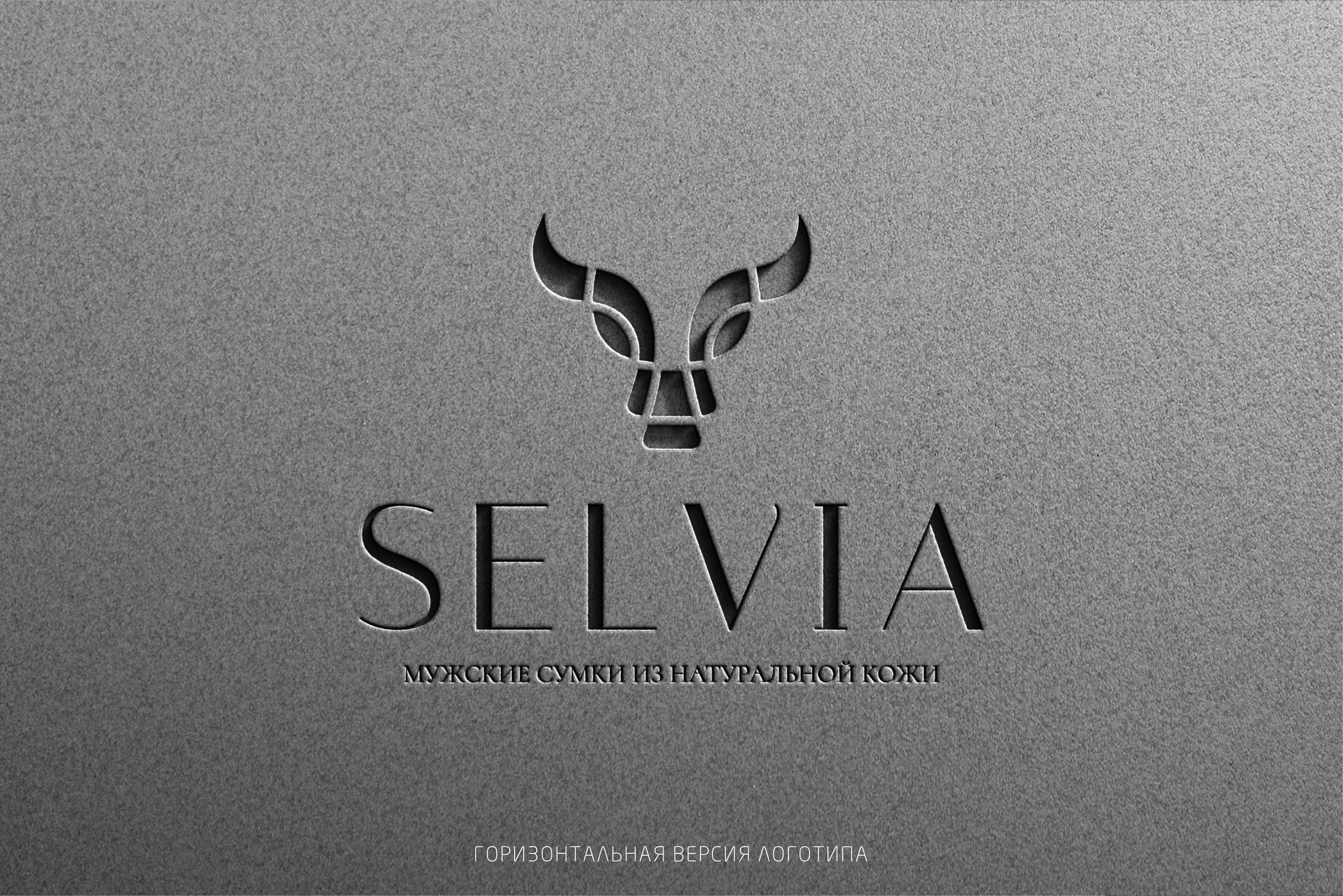 SELVIA | Мужские сумки из натуральной кожи г. Москва. ANNSOUL — графический и brand — дизайнер