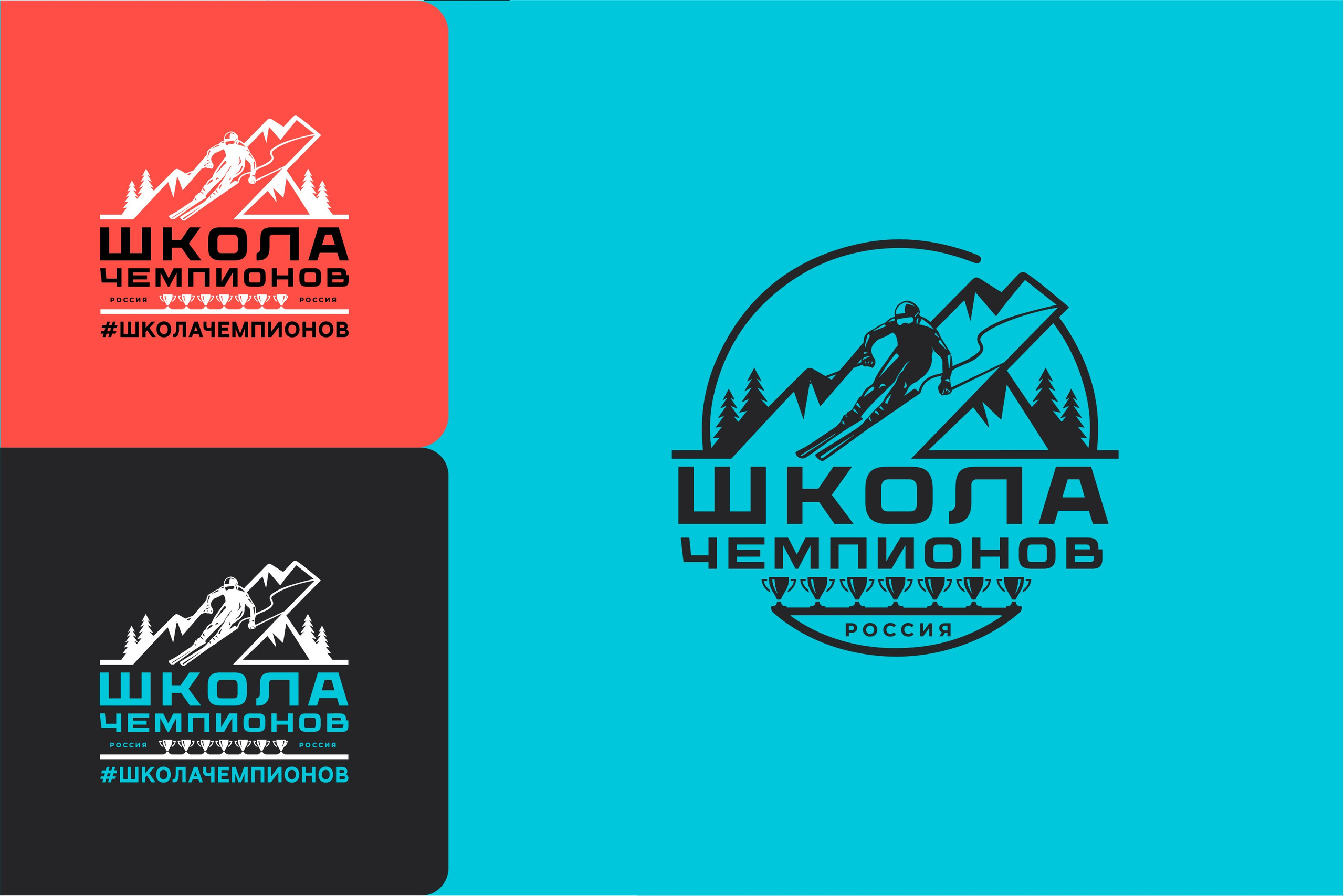 ШКОЛА ЧЕМПИОНОВ | Частная горнолыжная школа. ANNSOUL — графический и brand — дизайнер