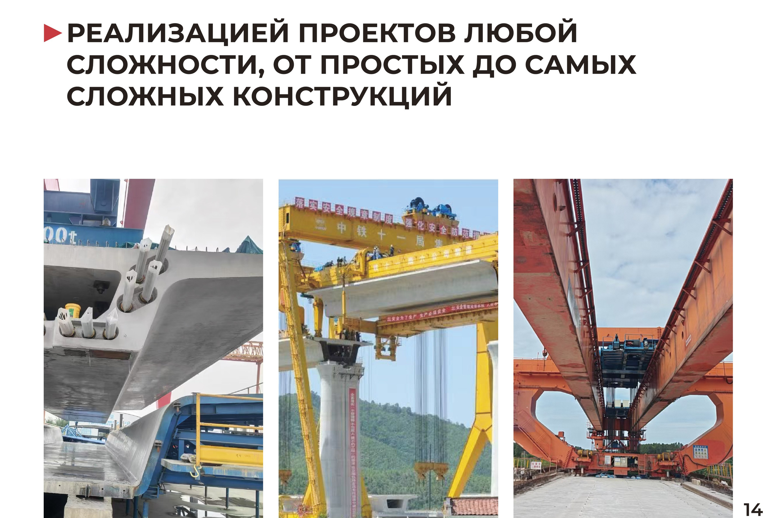 Sichuan Baomeilong | Презентация компании. ANNSOUL — графический и brand — дизайнер