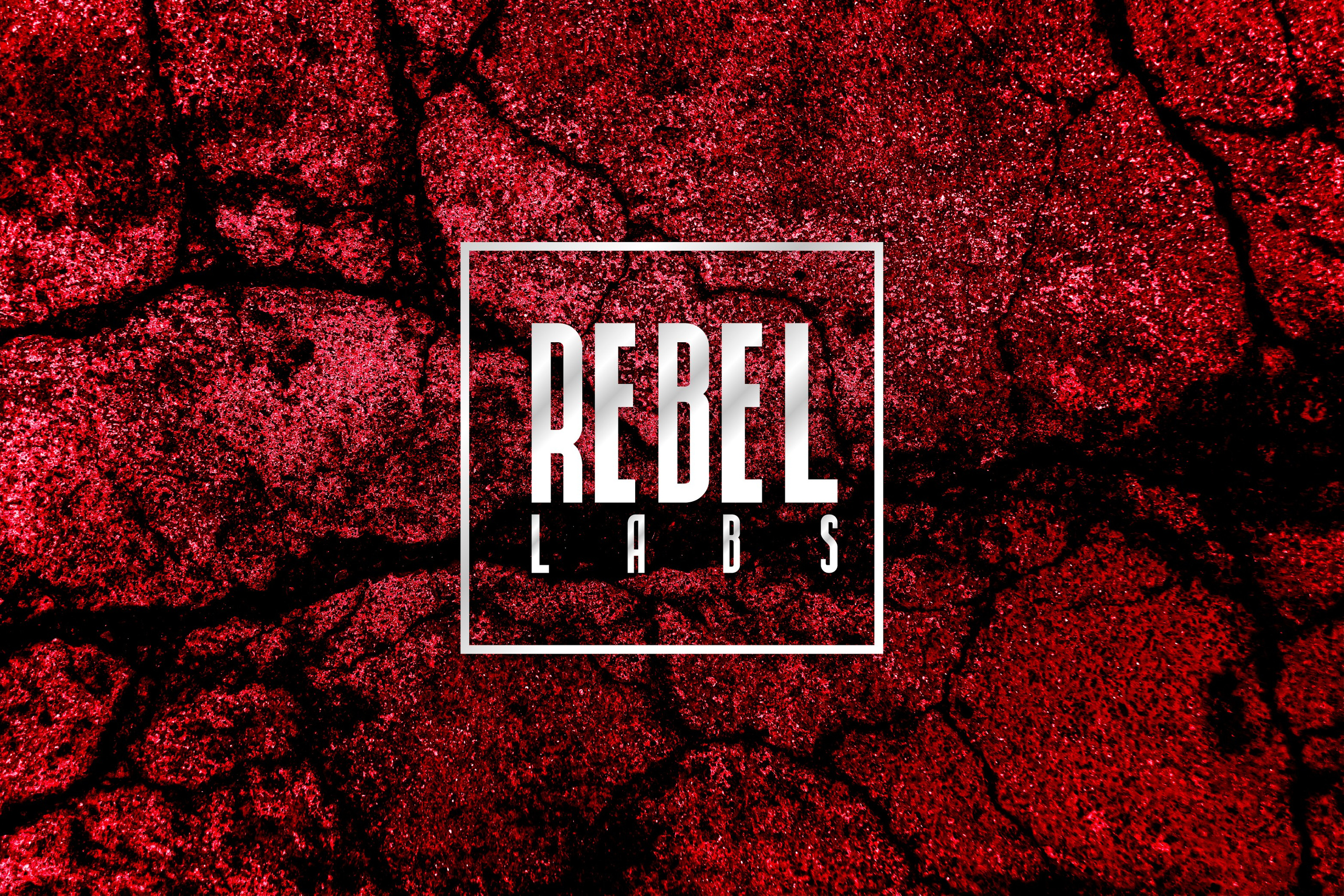 REBEL LABS | Спортивное питание. ANNSOUL — графический и brand — дизайнер