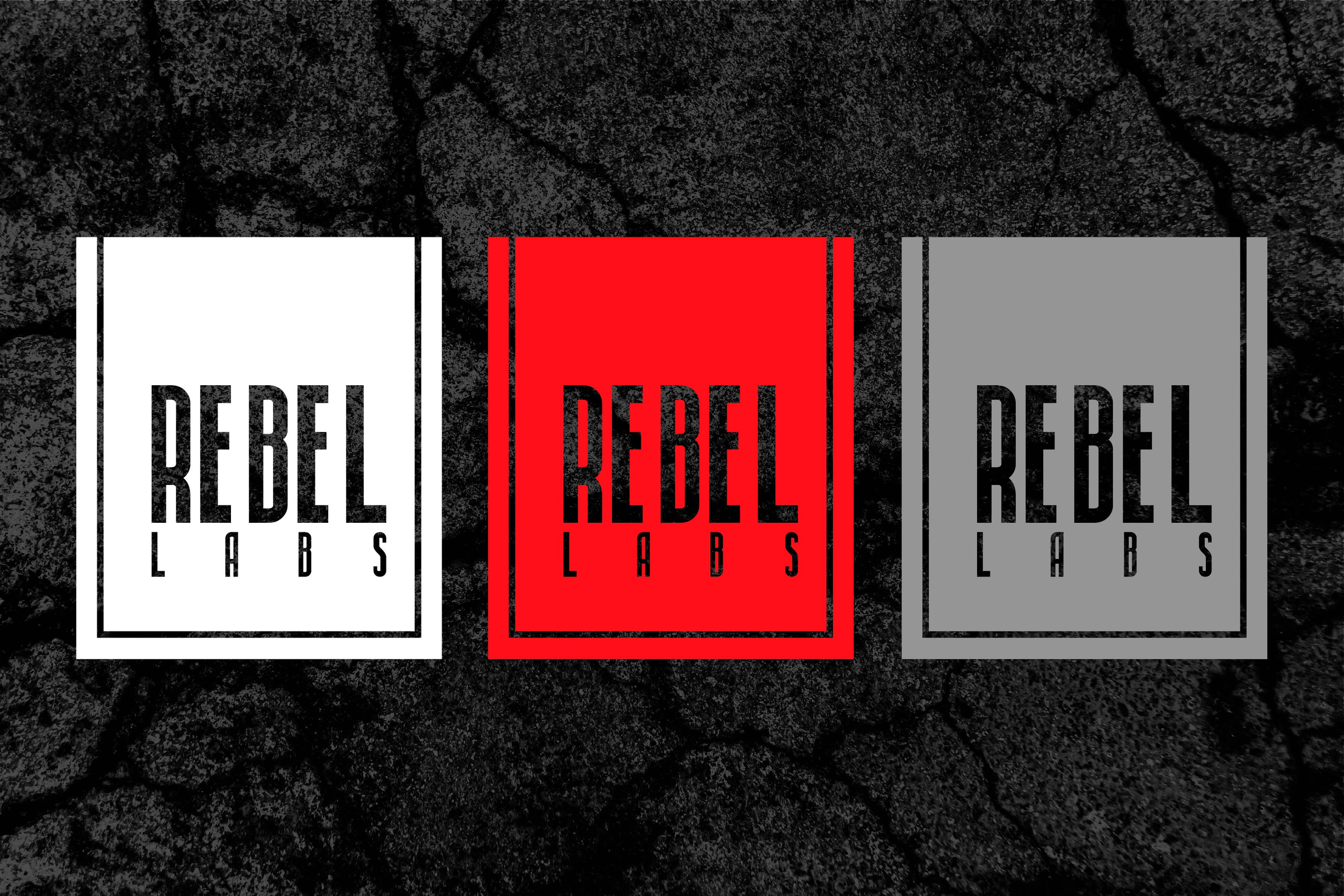 REBEL LABS | Спортивное питание. ANNSOUL — графический и brand — дизайнер