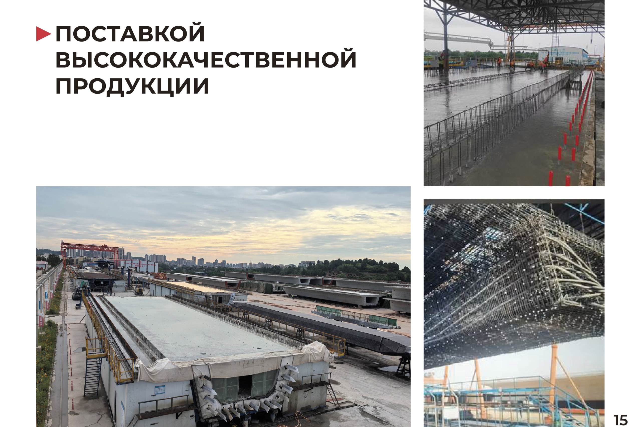 Sichuan Baomeilong | Презентация компании. ANNSOUL — графический и brand — дизайнер