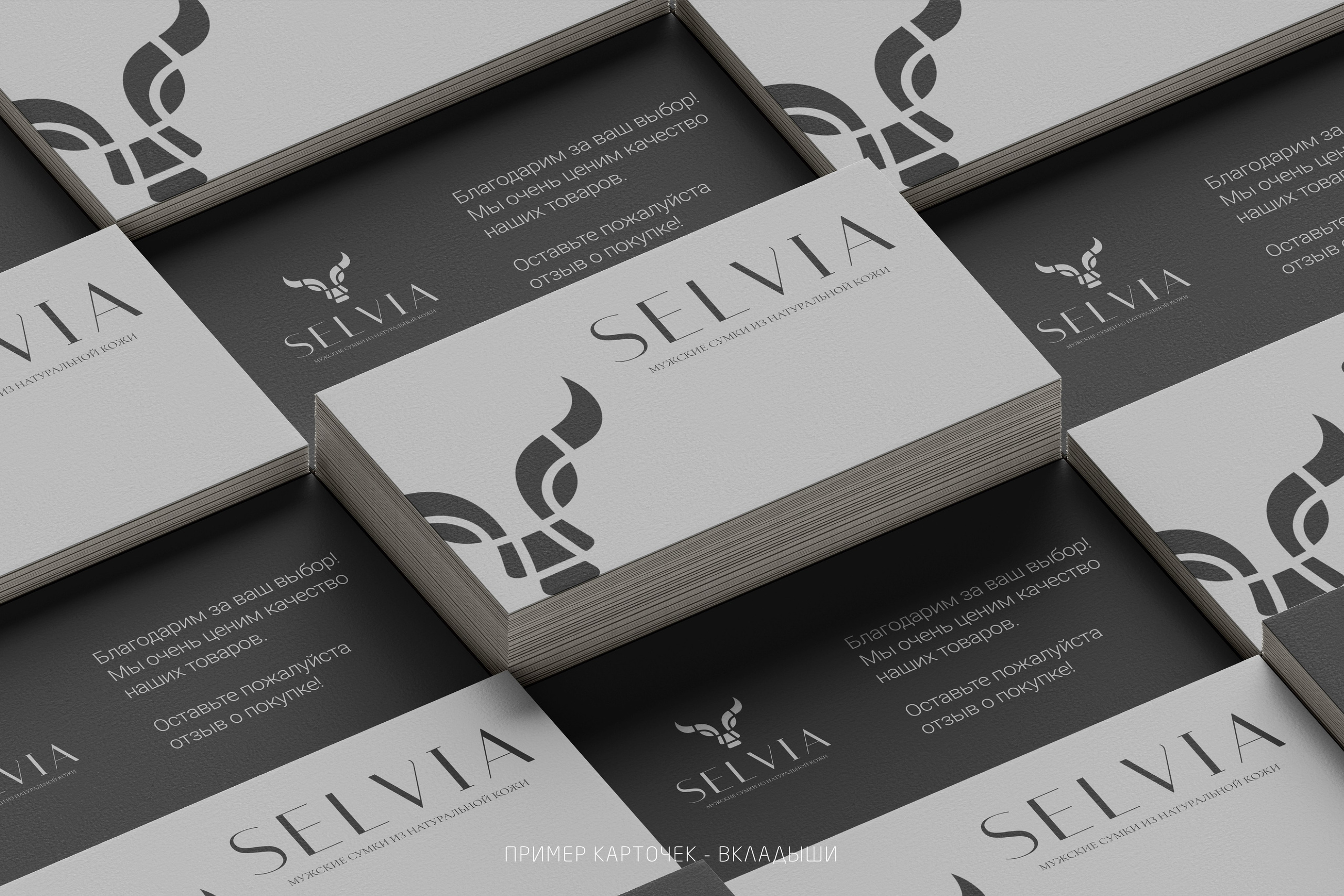 SELVIA | Мужские сумки из натуральной кожи г. Москва. ANNSOUL — графический и brand — дизайнер