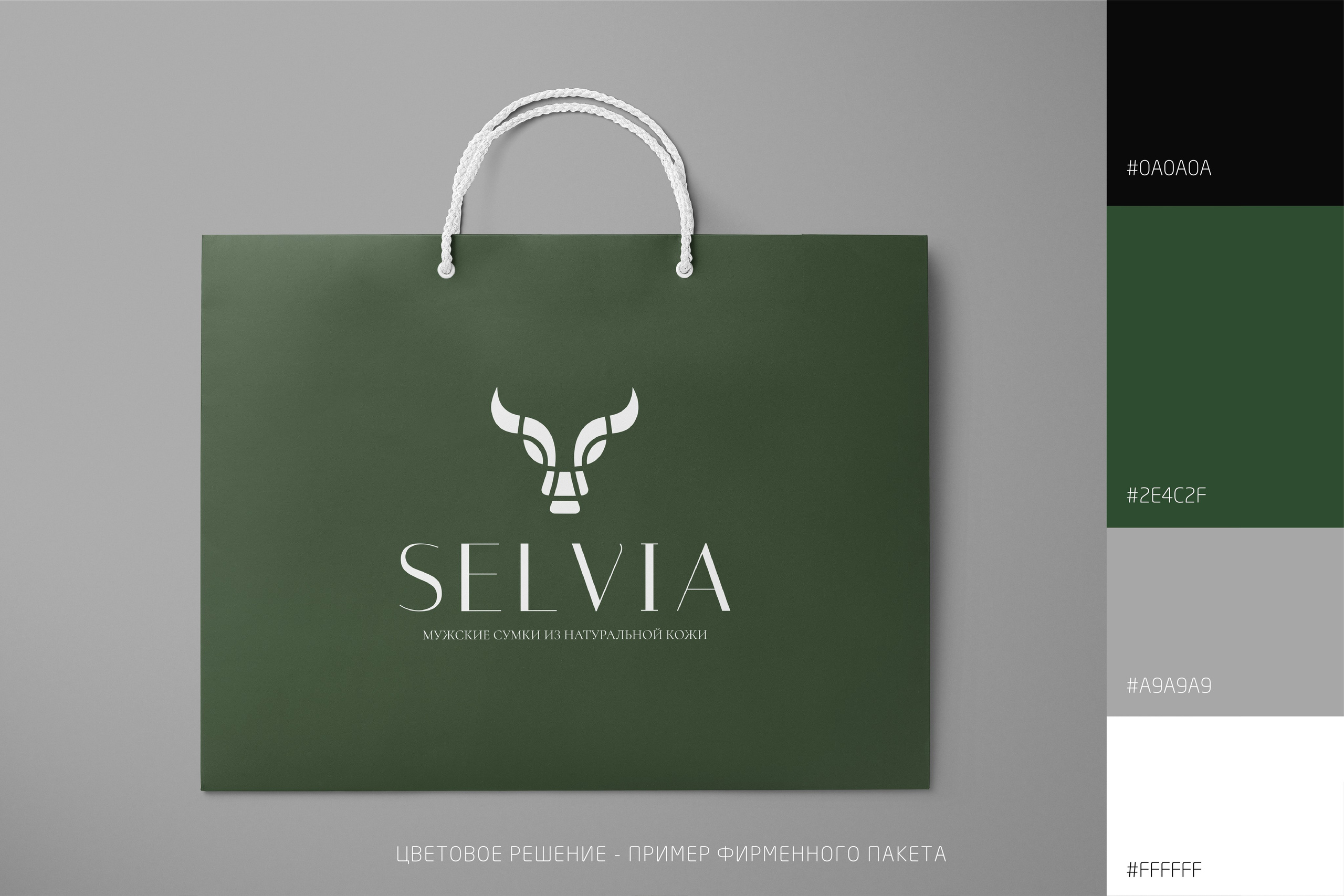 SELVIA | Мужские сумки из натуральной кожи г. Москва. ANNSOUL — графический и brand — дизайнер