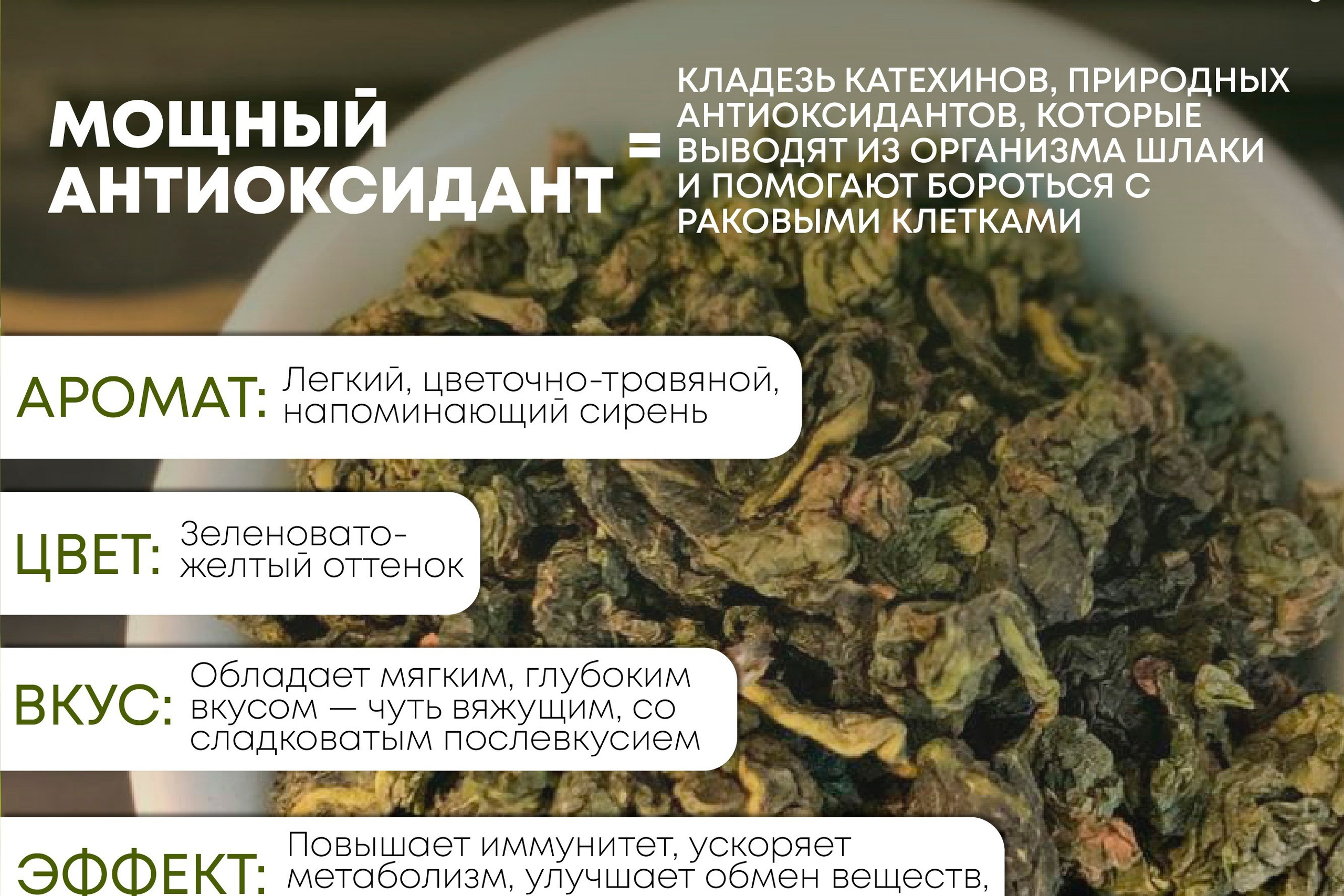 ТАПИР | Разные виды чая | OZON. ANNSOUL — графический и brand — дизайнер