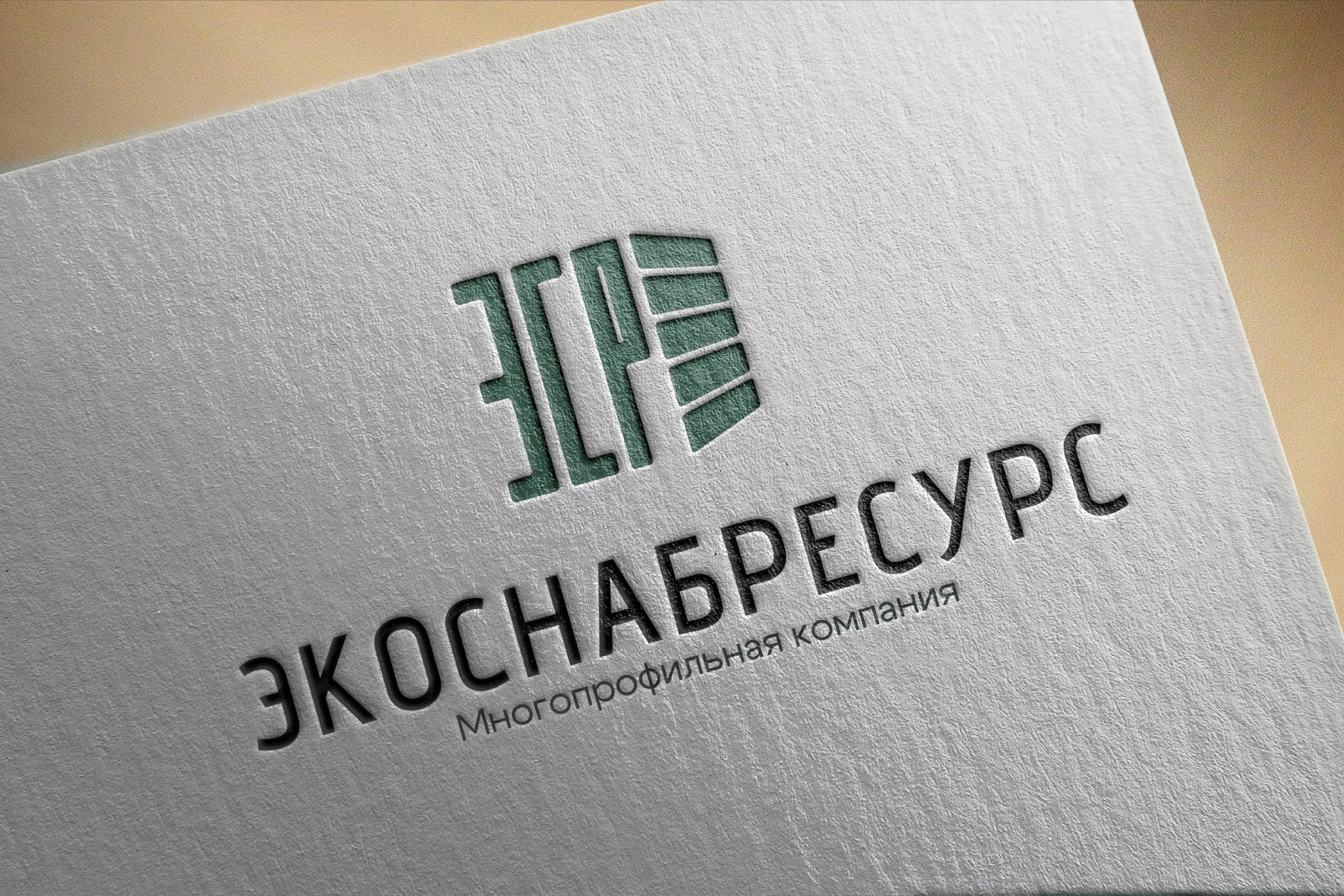 ЭКОСНАБРЕСУР | Многопрофильная компания г. Ростов-на-Дону. ANNSOUL — графический и brand — дизайнер