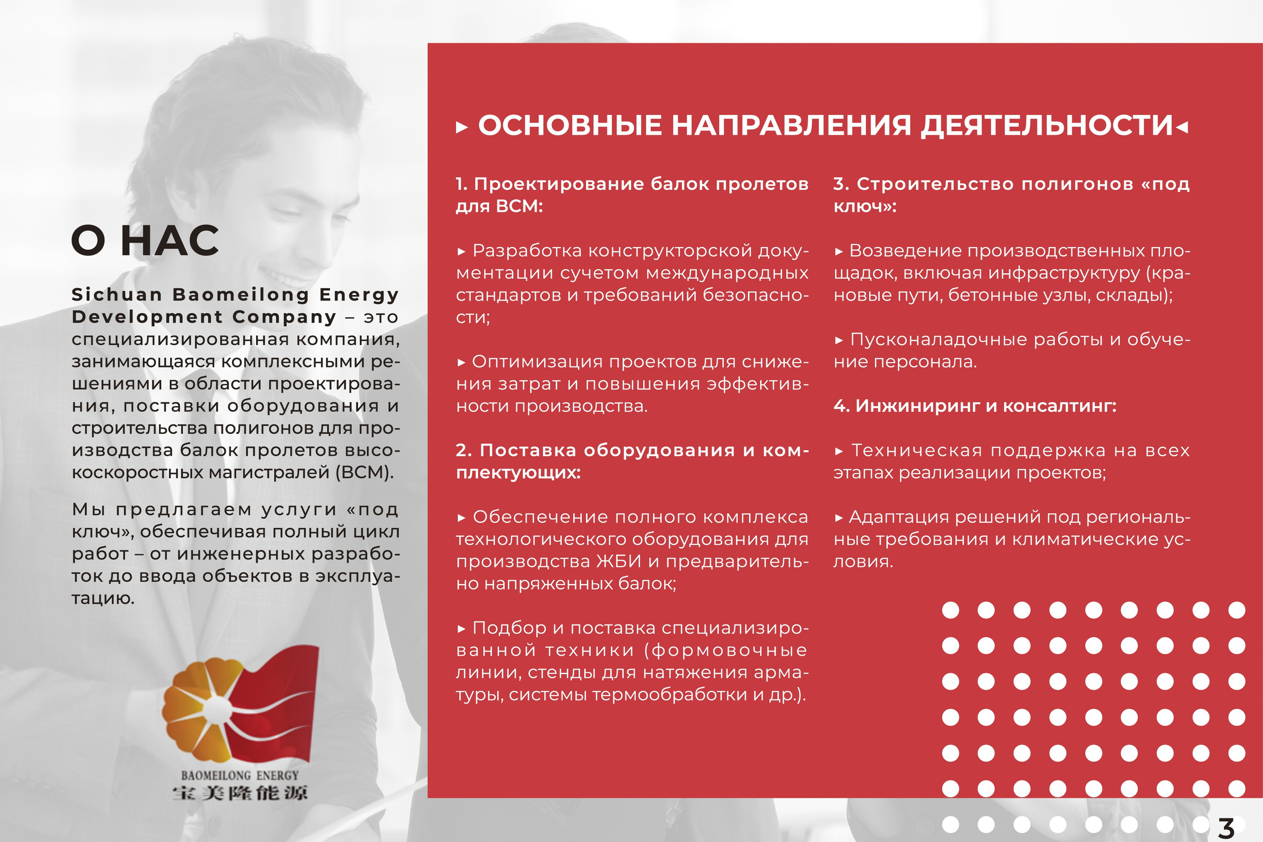 Sichuan Baomeilong | Презентация компании. ANNSOUL — графический и brand — дизайнер