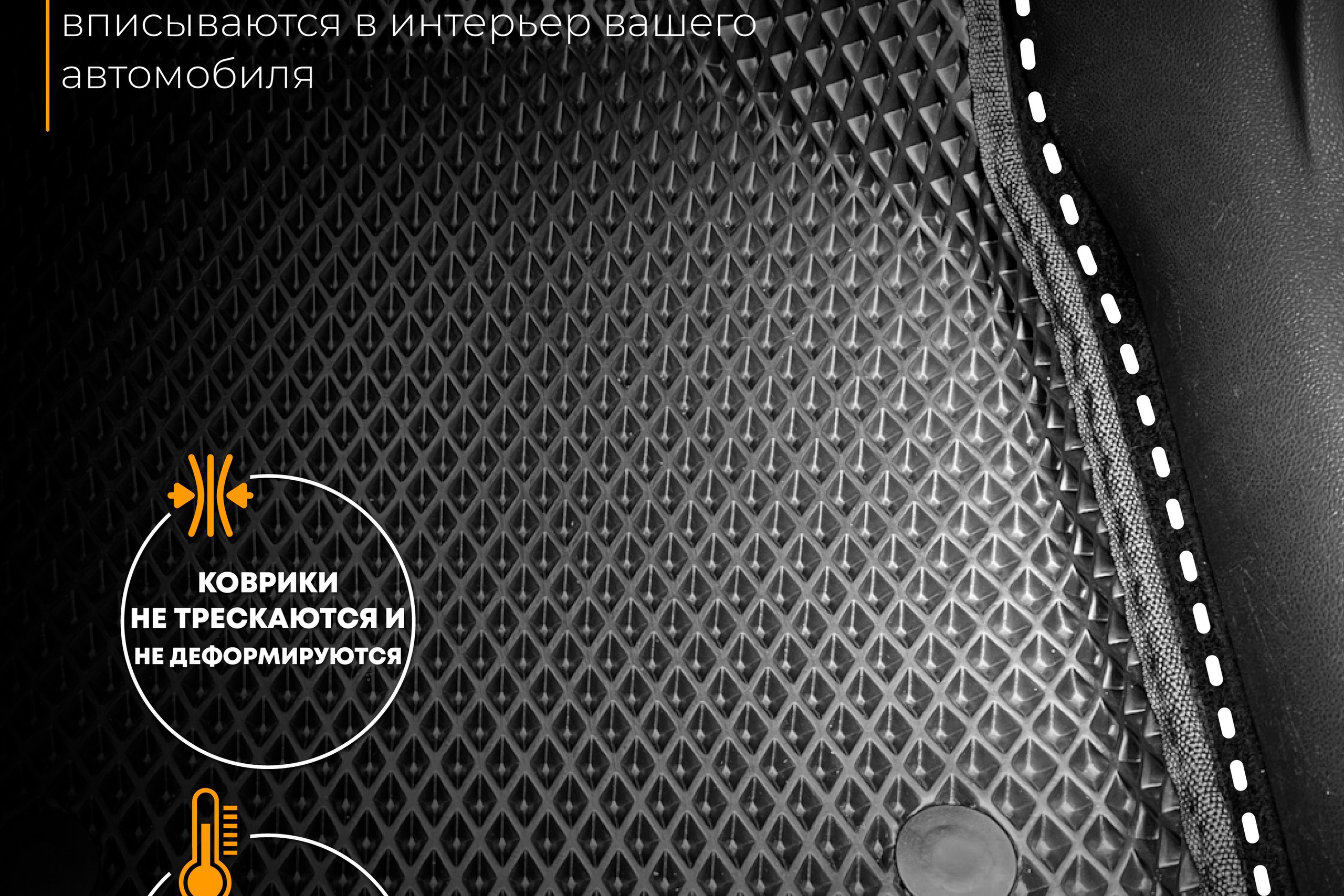 ТАПИР | Автотовары | WB. ANNSOUL — графический и brand — дизайнер