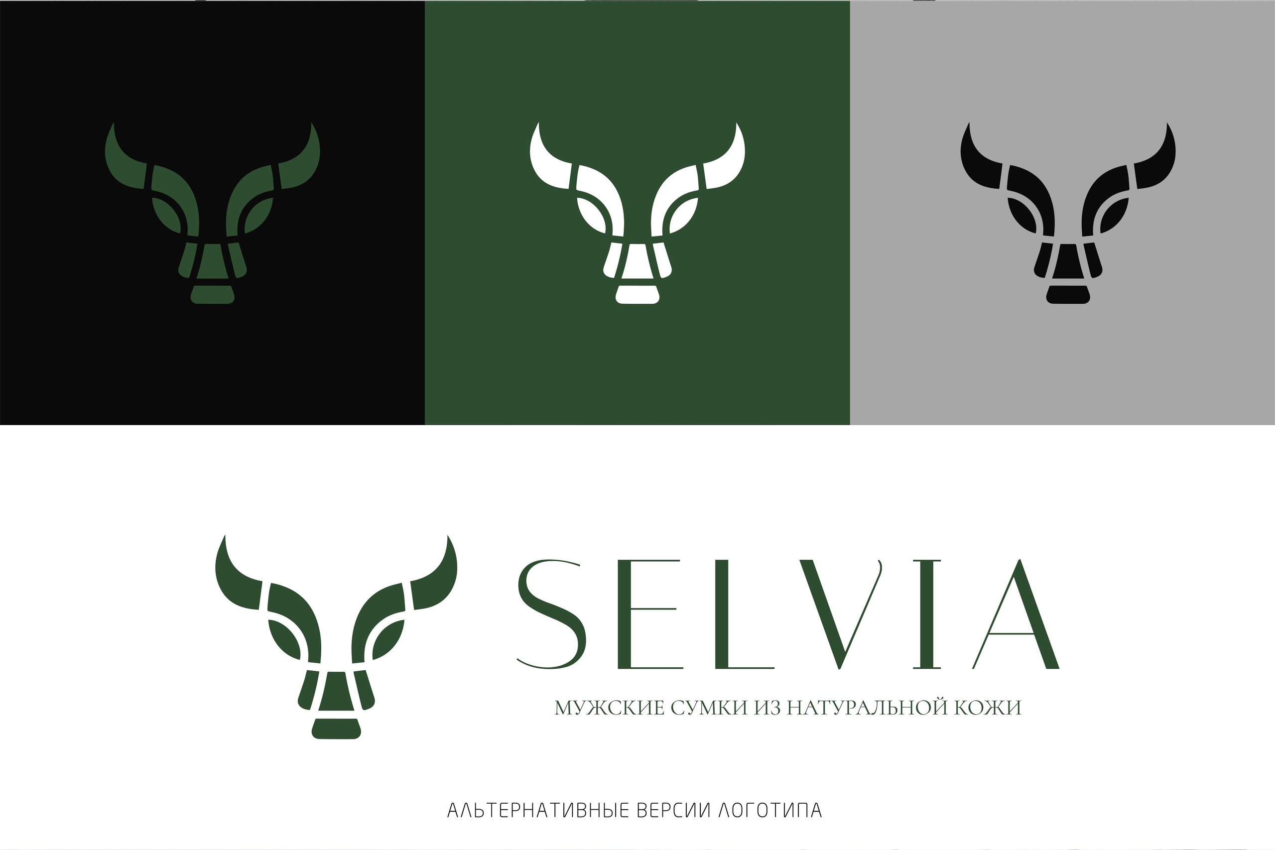 SELVIA | Мужские сумки из натуральной кожи г. Москва. ANNSOUL — графический и brand — дизайнер