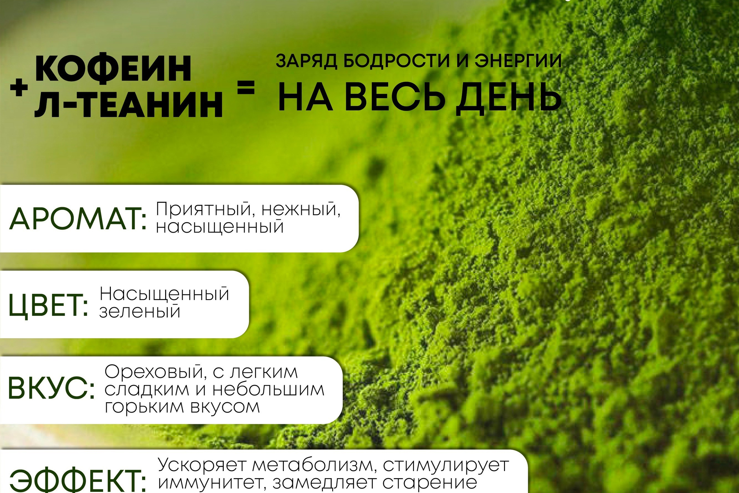 ТАПИР | Разные виды чая | OZON. ANNSOUL — графический и brand — дизайнер