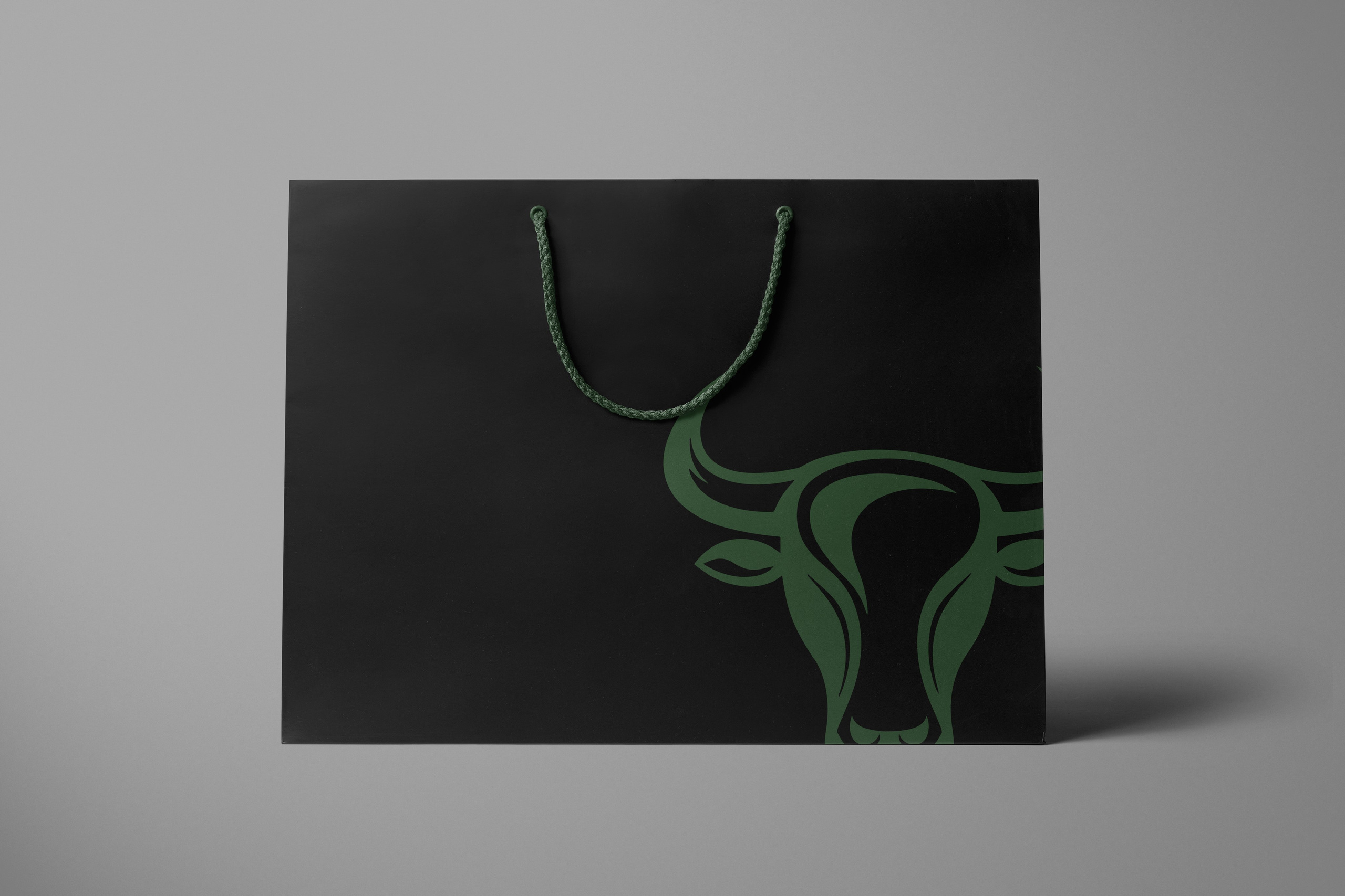 Фирменные пакеты. ANNSOUL — графический и brand — дизайнер