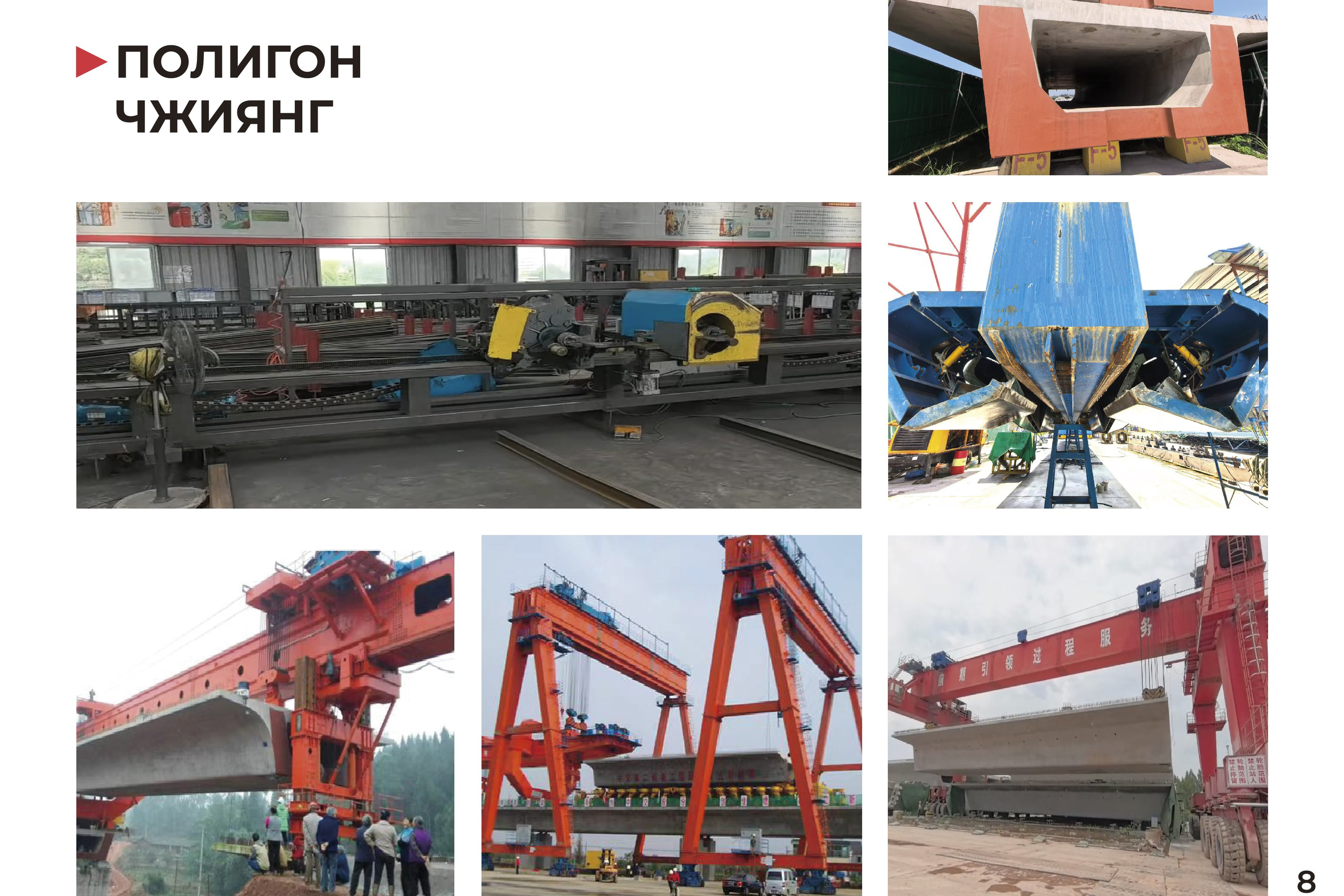 Sichuan Baomeilong | Презентация компании. ANNSOUL — графический и brand — дизайнер