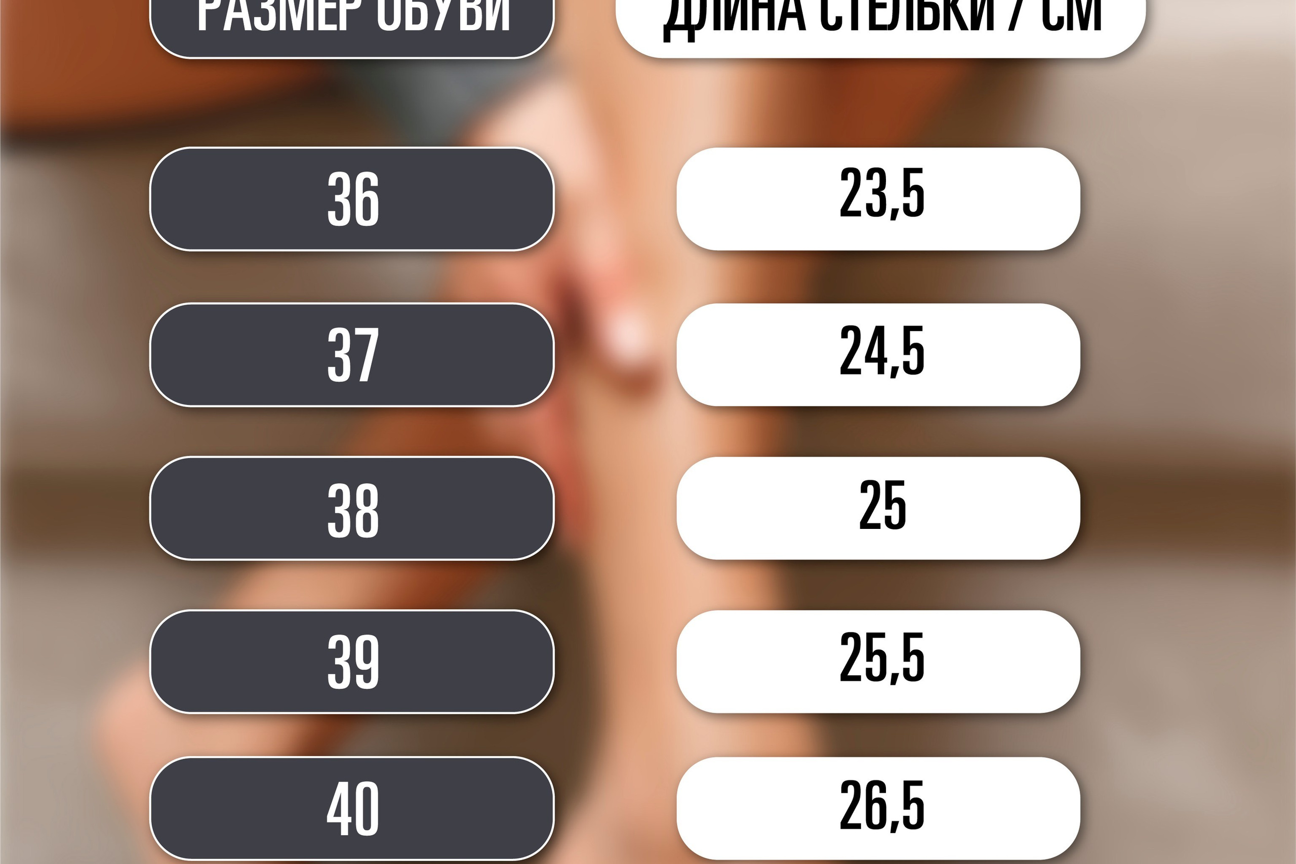 VEGAS | Домашние тапочки | WB. ANNSOUL — графический и brand — дизайнер