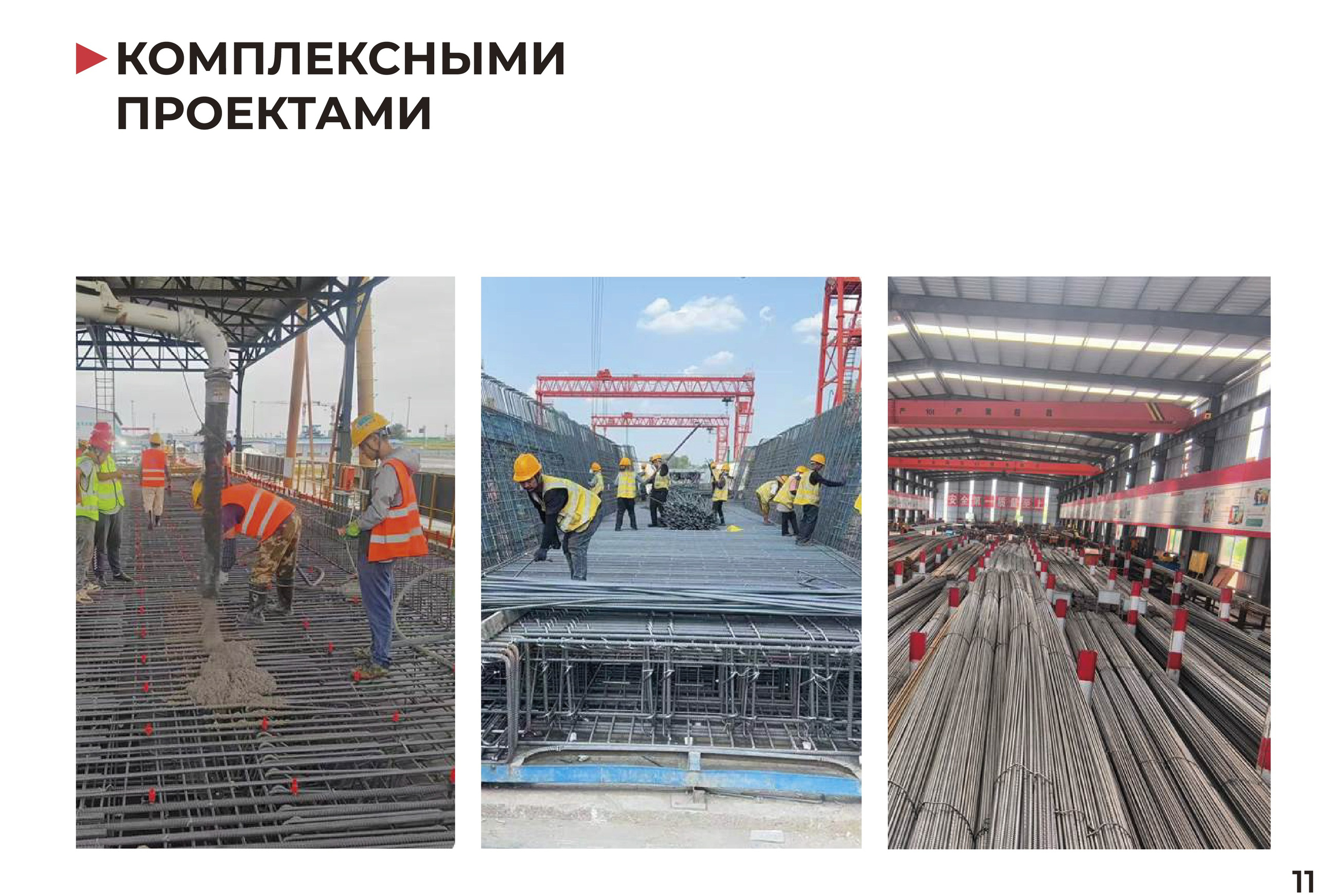 Sichuan Baomeilong | Презентация компании. ANNSOUL — графический и brand — дизайнер