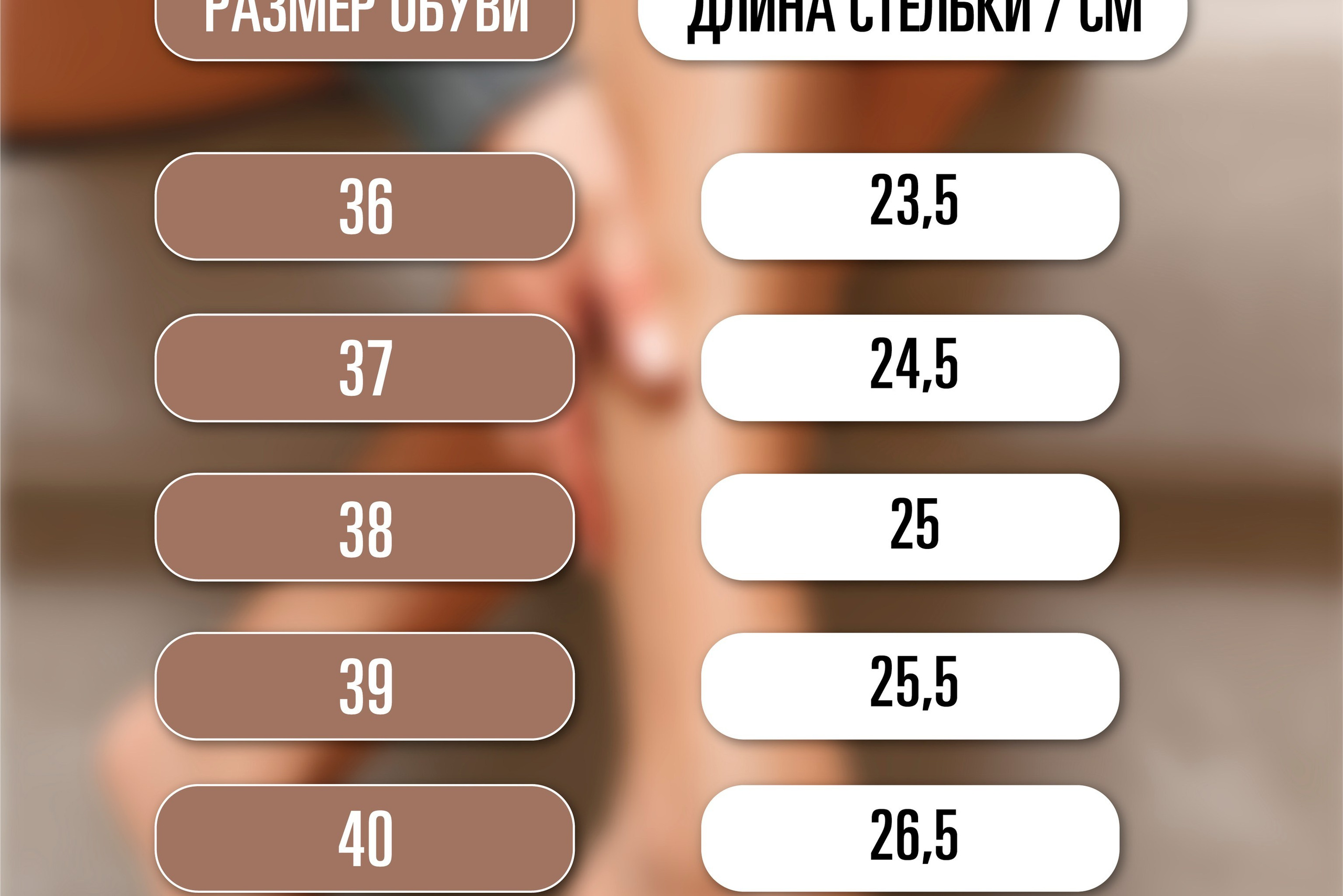 VEGAS | Домашние тапочки | WB. ANNSOUL — графический и brand — дизайнер