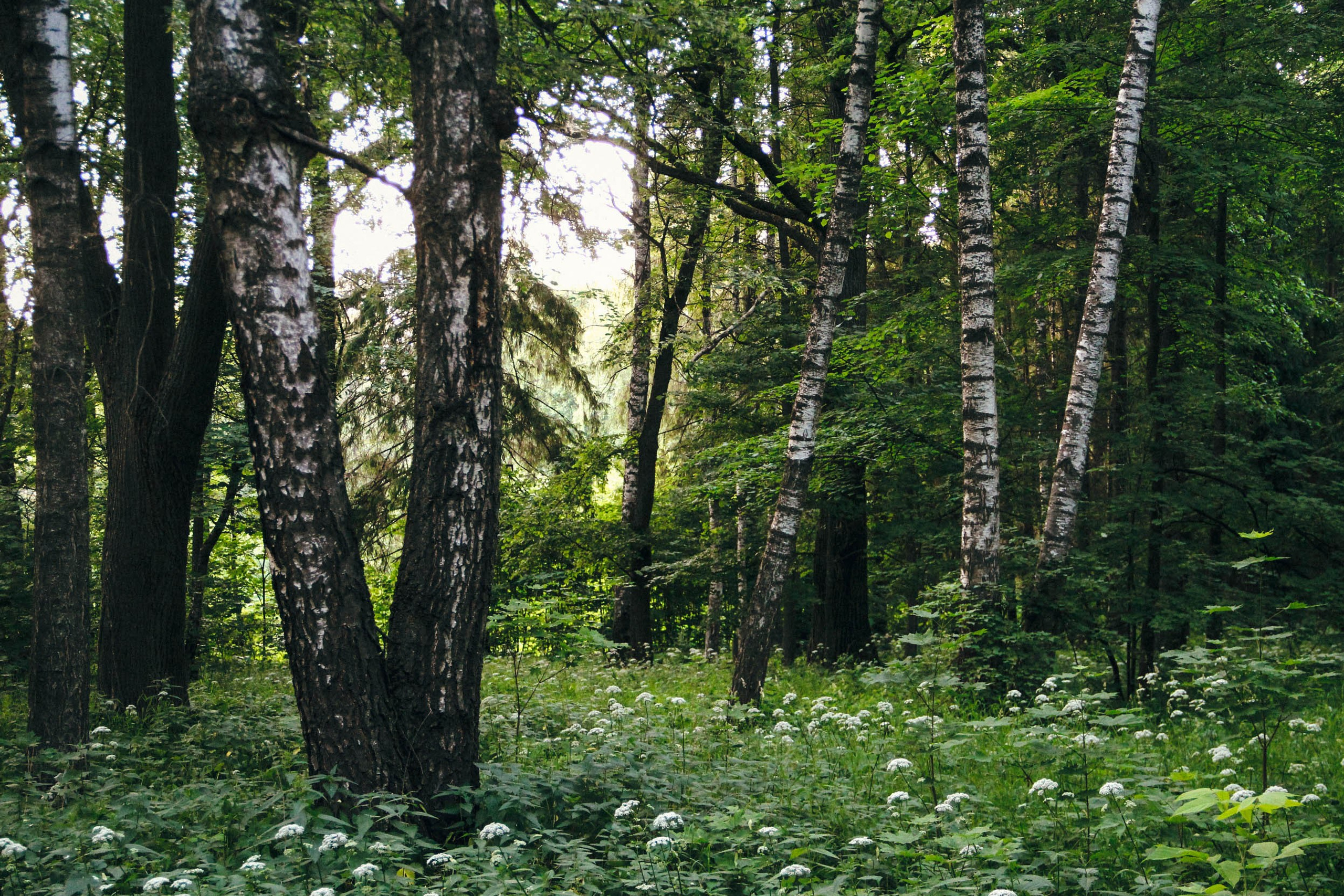 Тверь. Фотограф Ксения Монахова