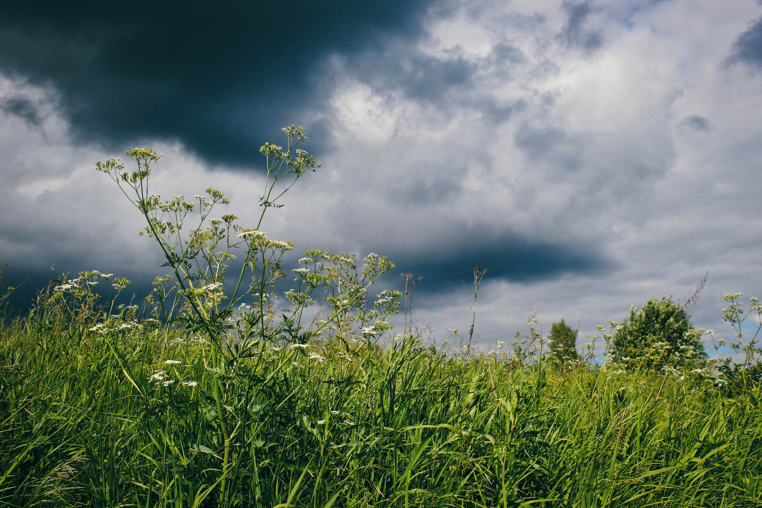 Лихославльский округ. Фотограф Ксения Монахова