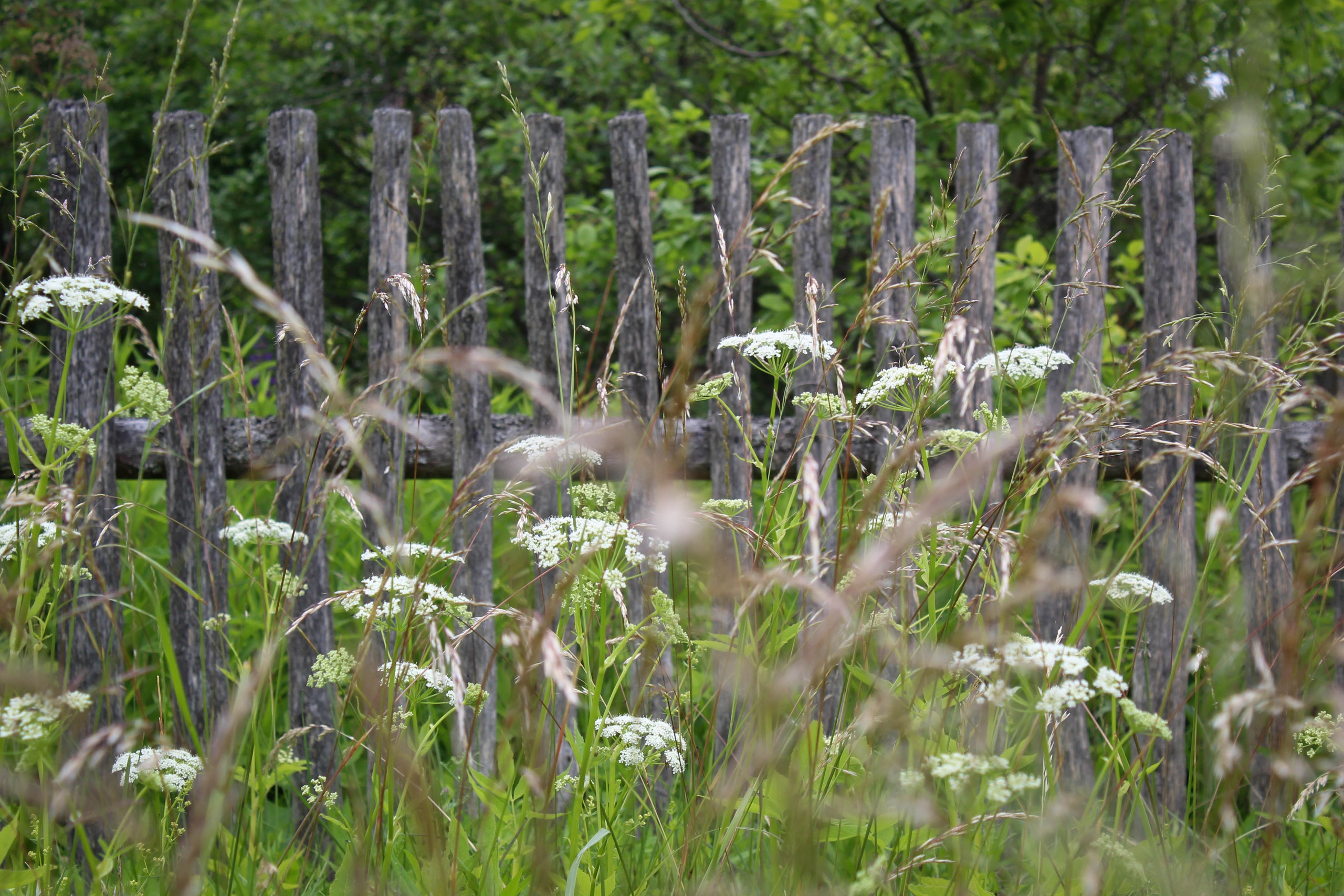 Лихославльский округ. Фотограф Ксения Монахова