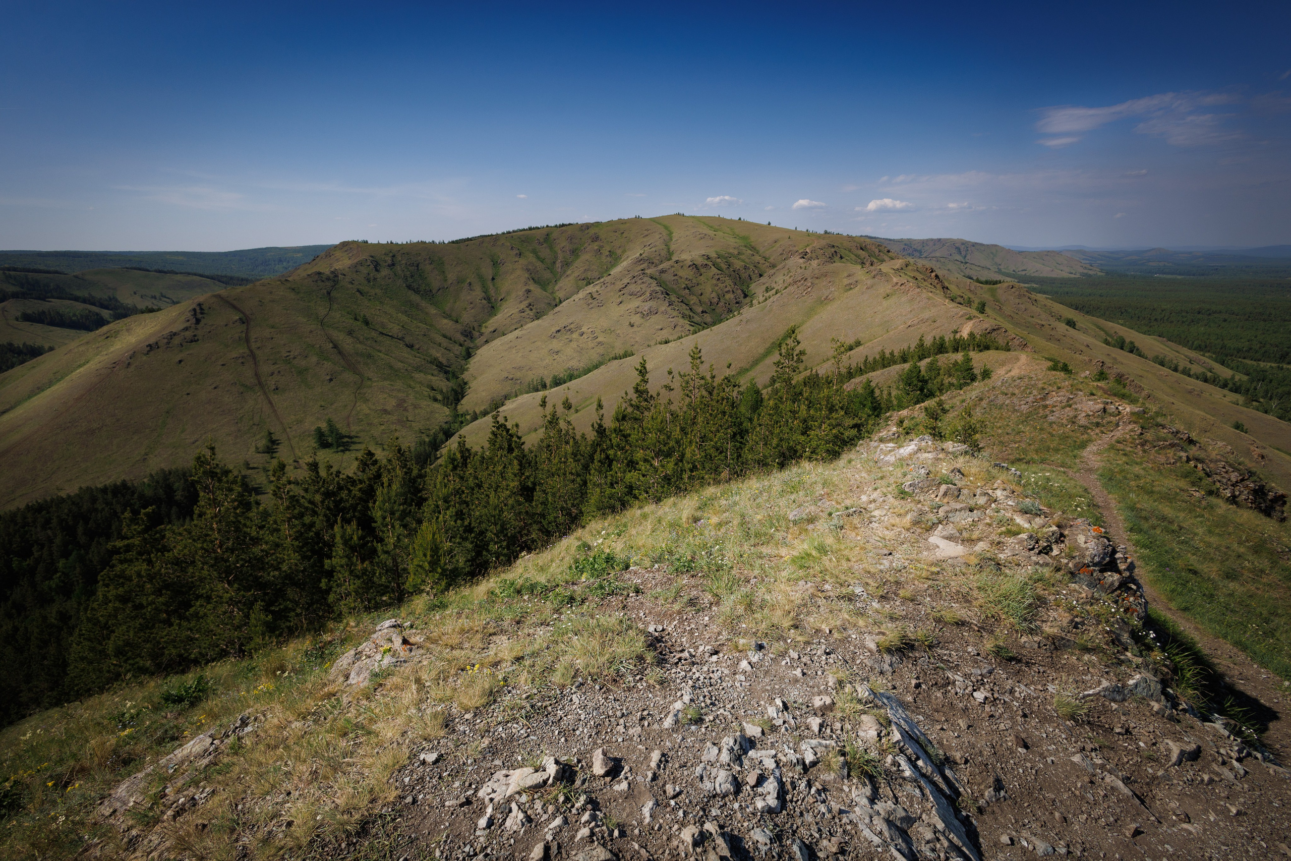 Курташ, Нурали