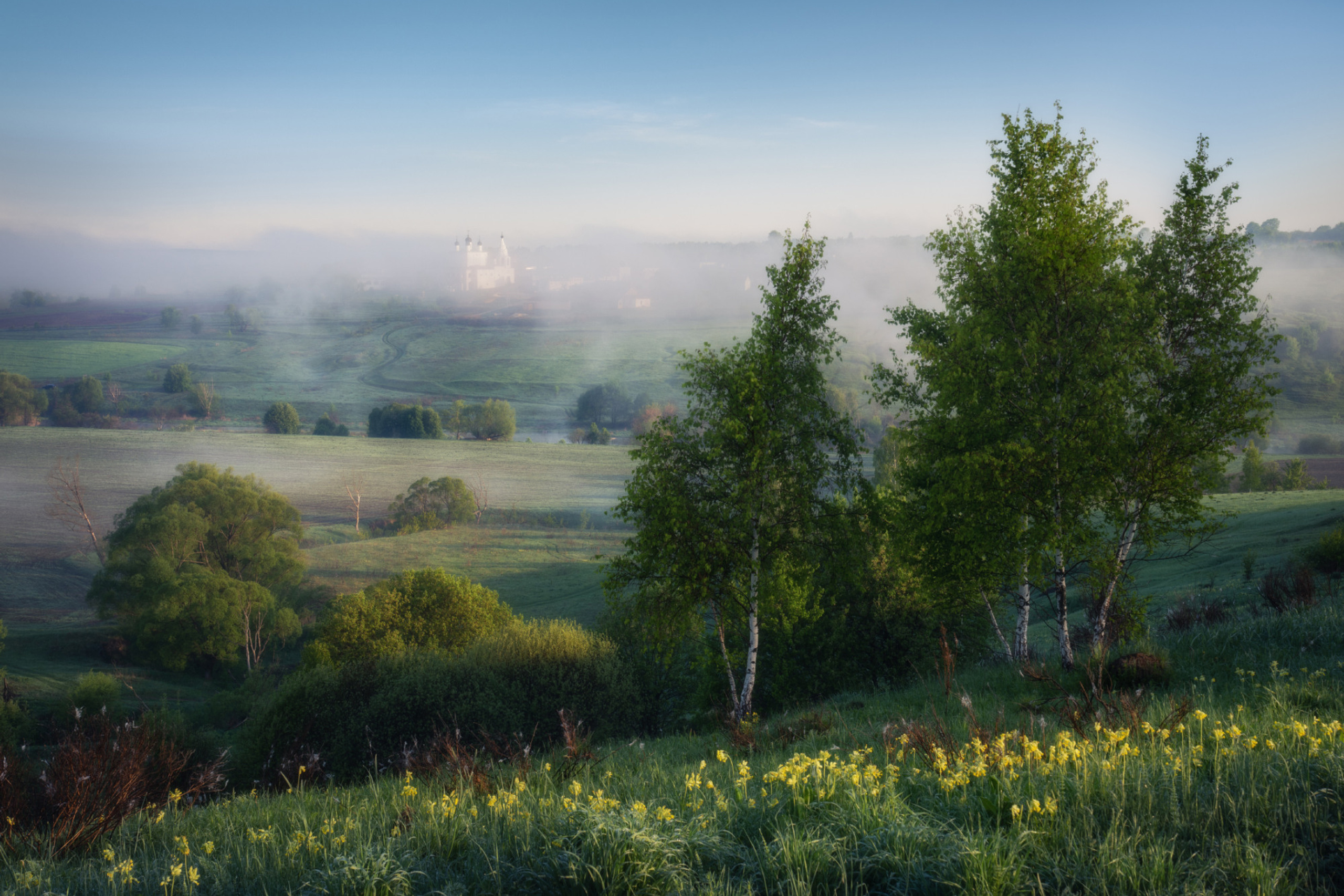 Тульская область