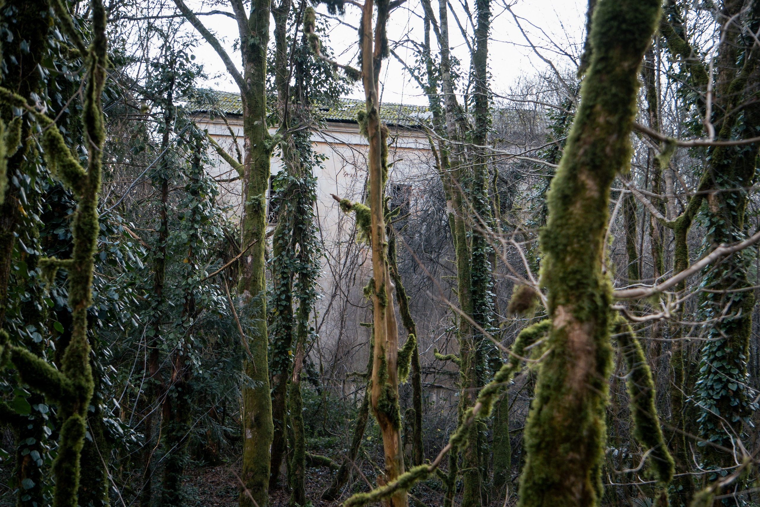 Заметки натуралиста. Yaratezza production