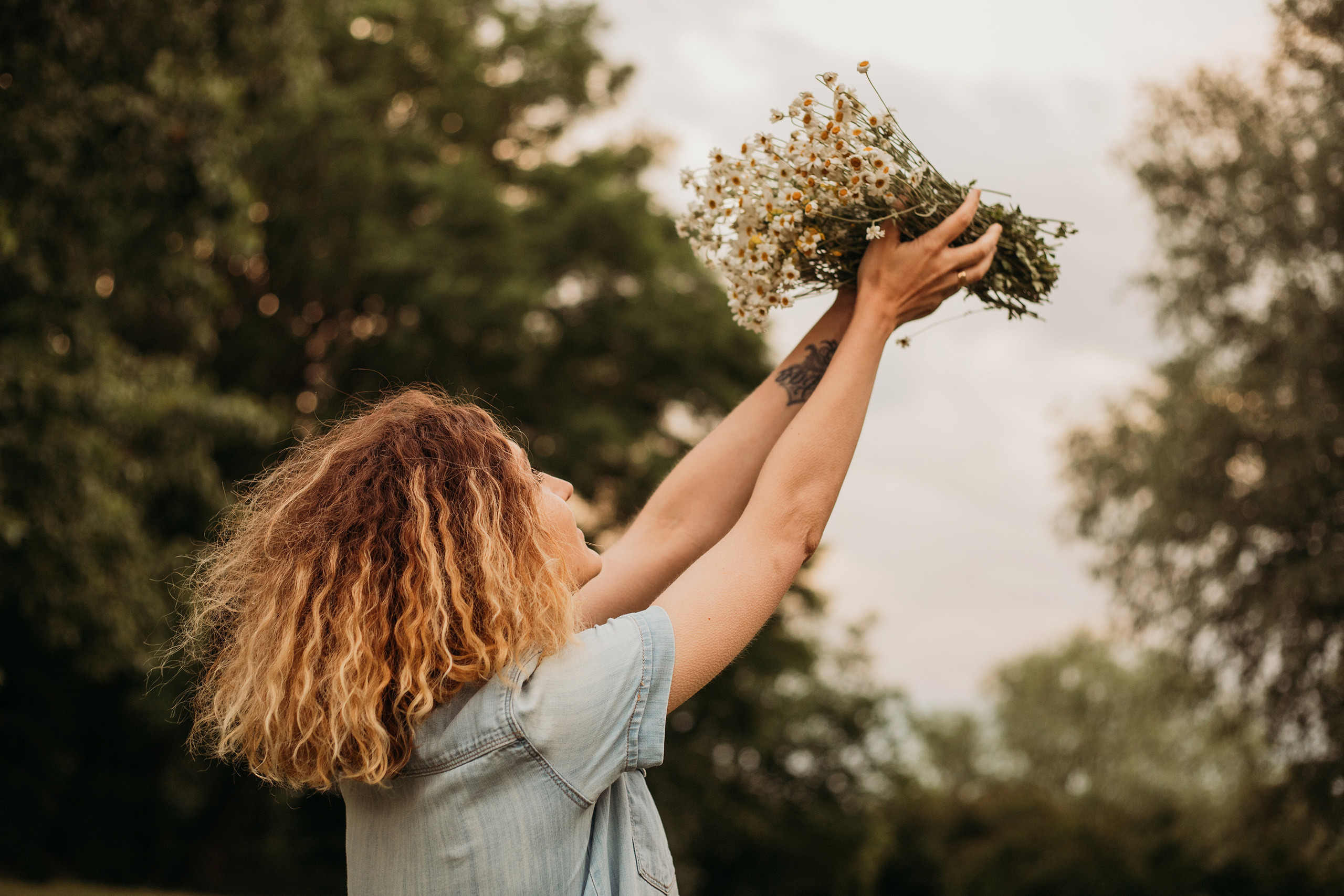 Привет, ромашки!