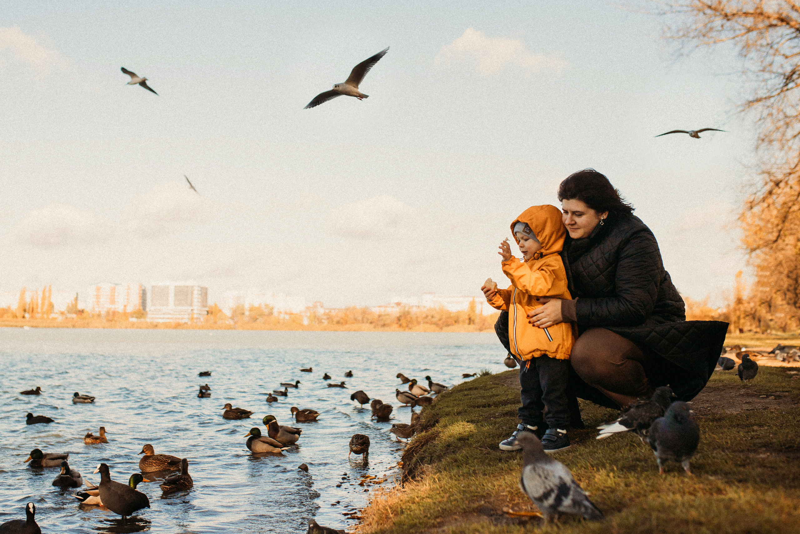 Осенняя прогулка