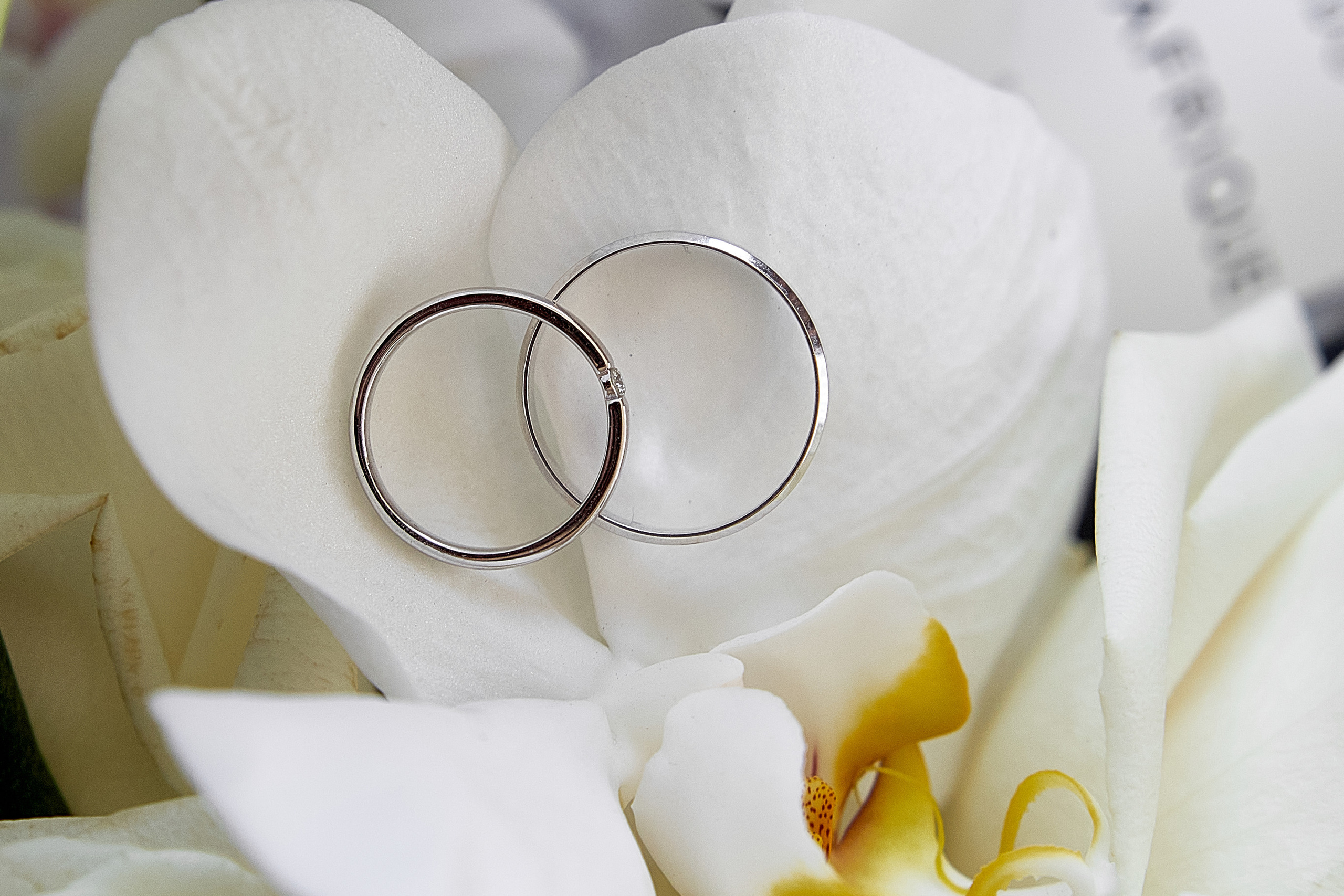 Дарья и&nbsp;Вадим