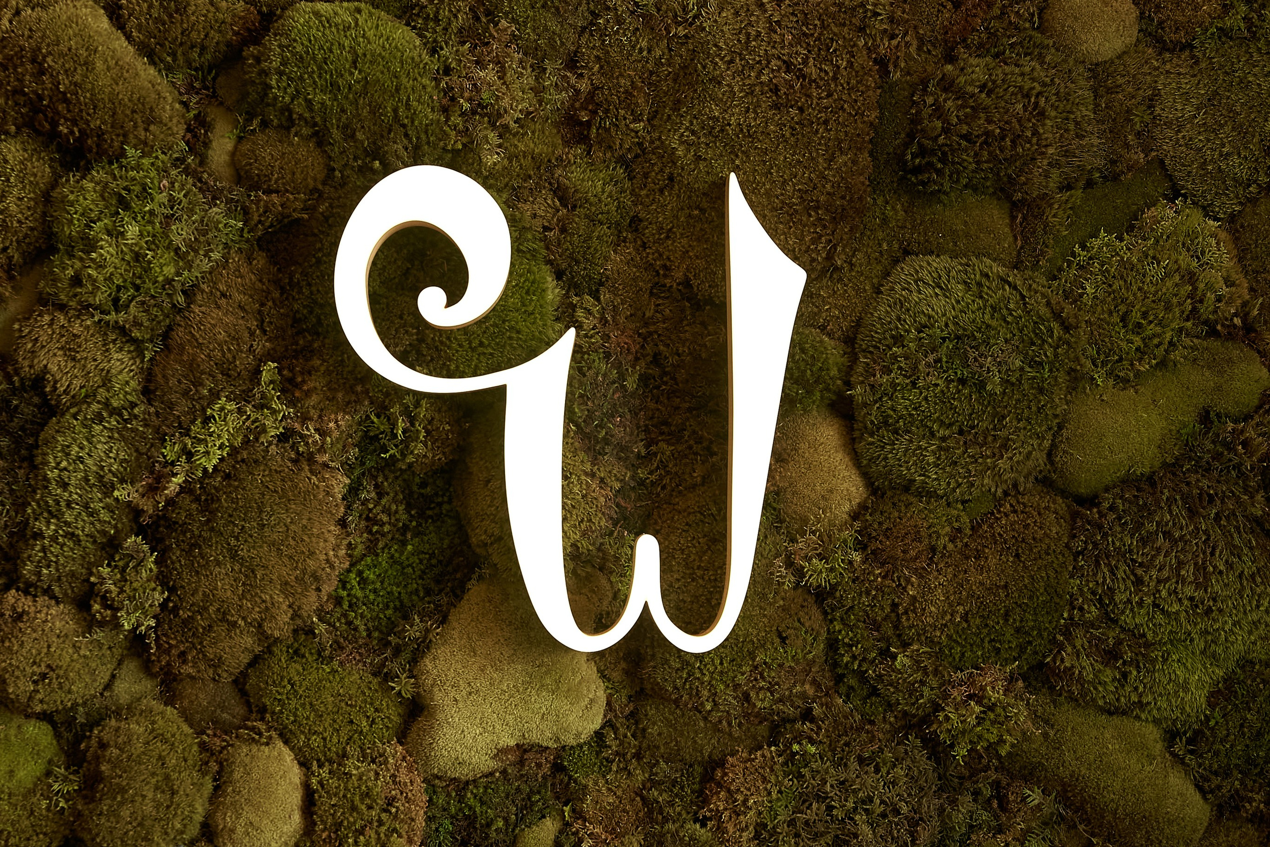 Wonderland (бизнес съёмка)