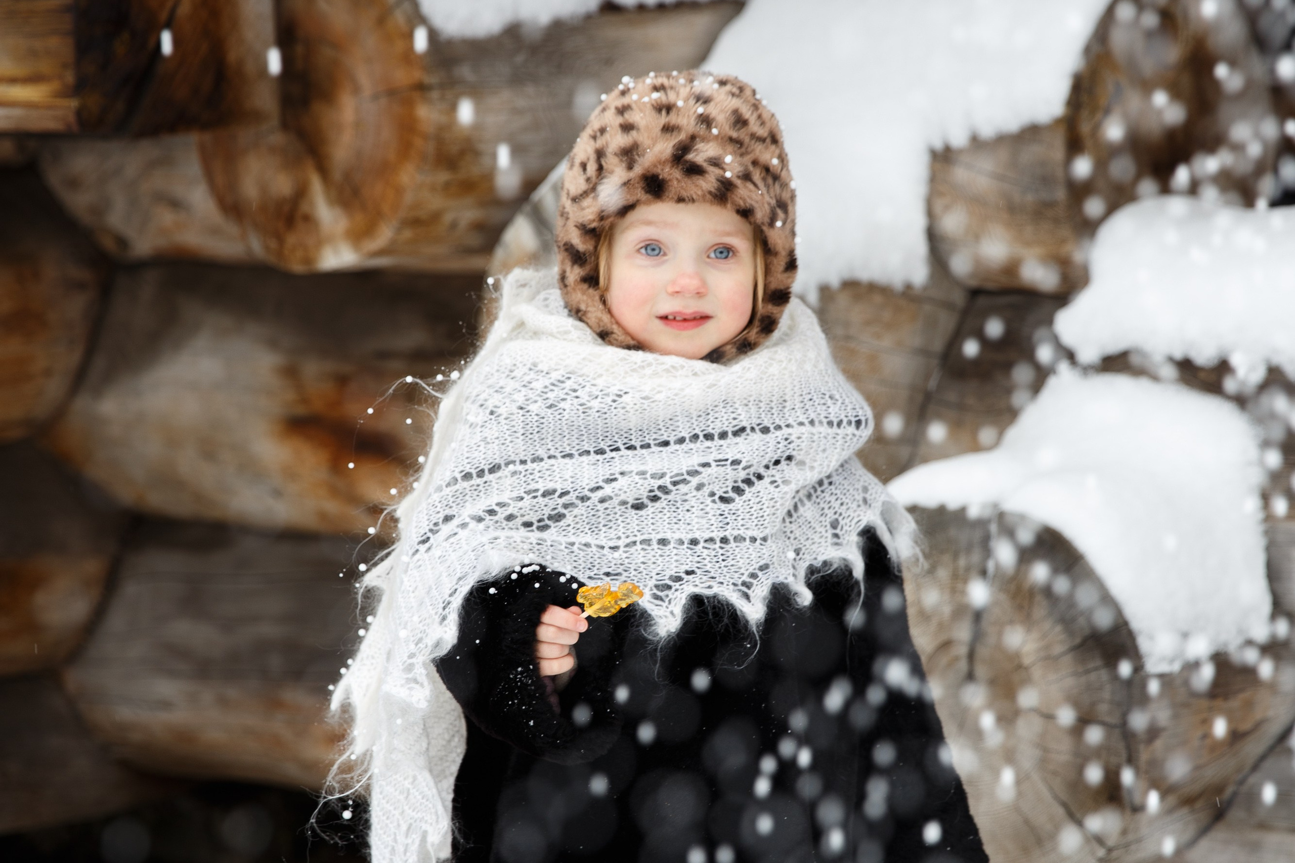 Зима. Подворье&nbsp;г.&nbsp;Павловск